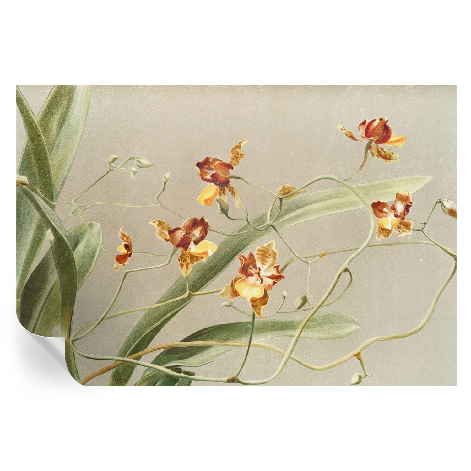 Vinilos decorativos y papel pintado autoadhesivo floral de 152x104 cm para adornos de pared