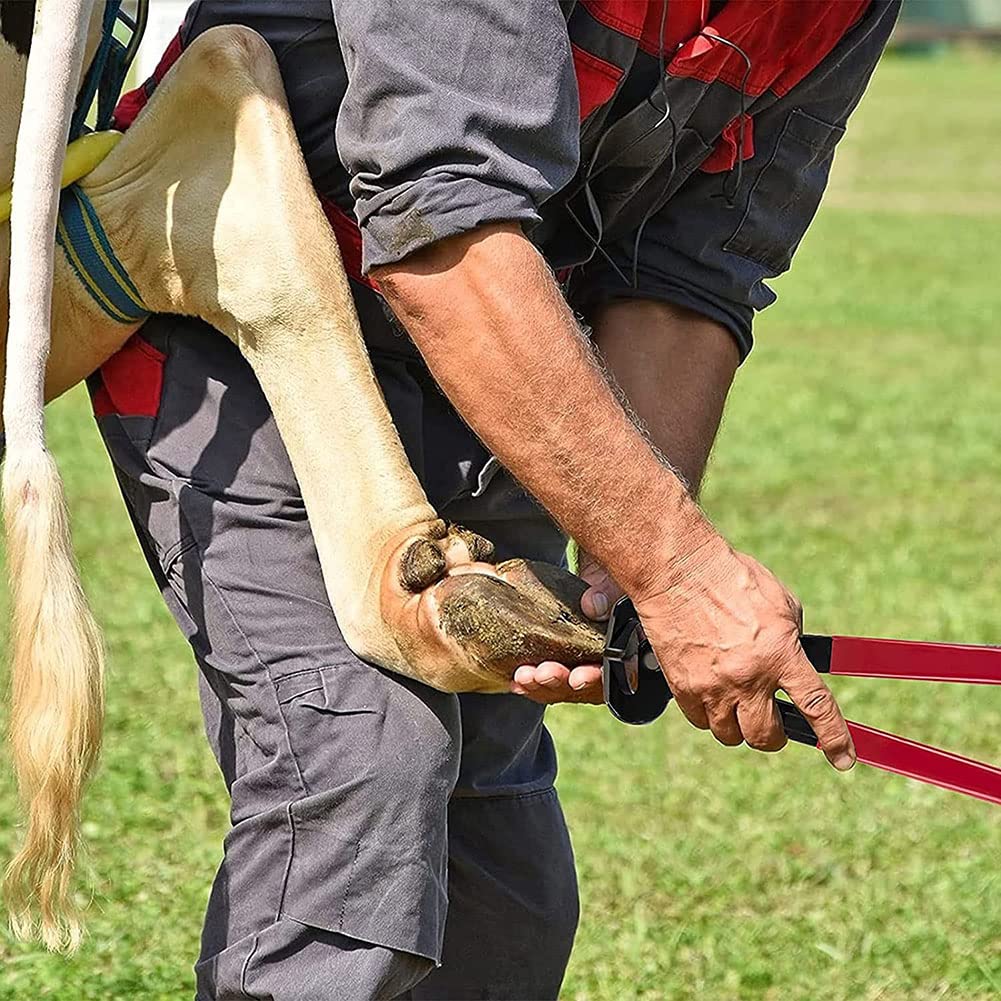 Herramienta para cortar pezuñas para caballos y burros, recortadores profesionales de pezuñas y cortaúñas para animales grandes y medianos, herramienta esencial para el cuidado de pezuñas para