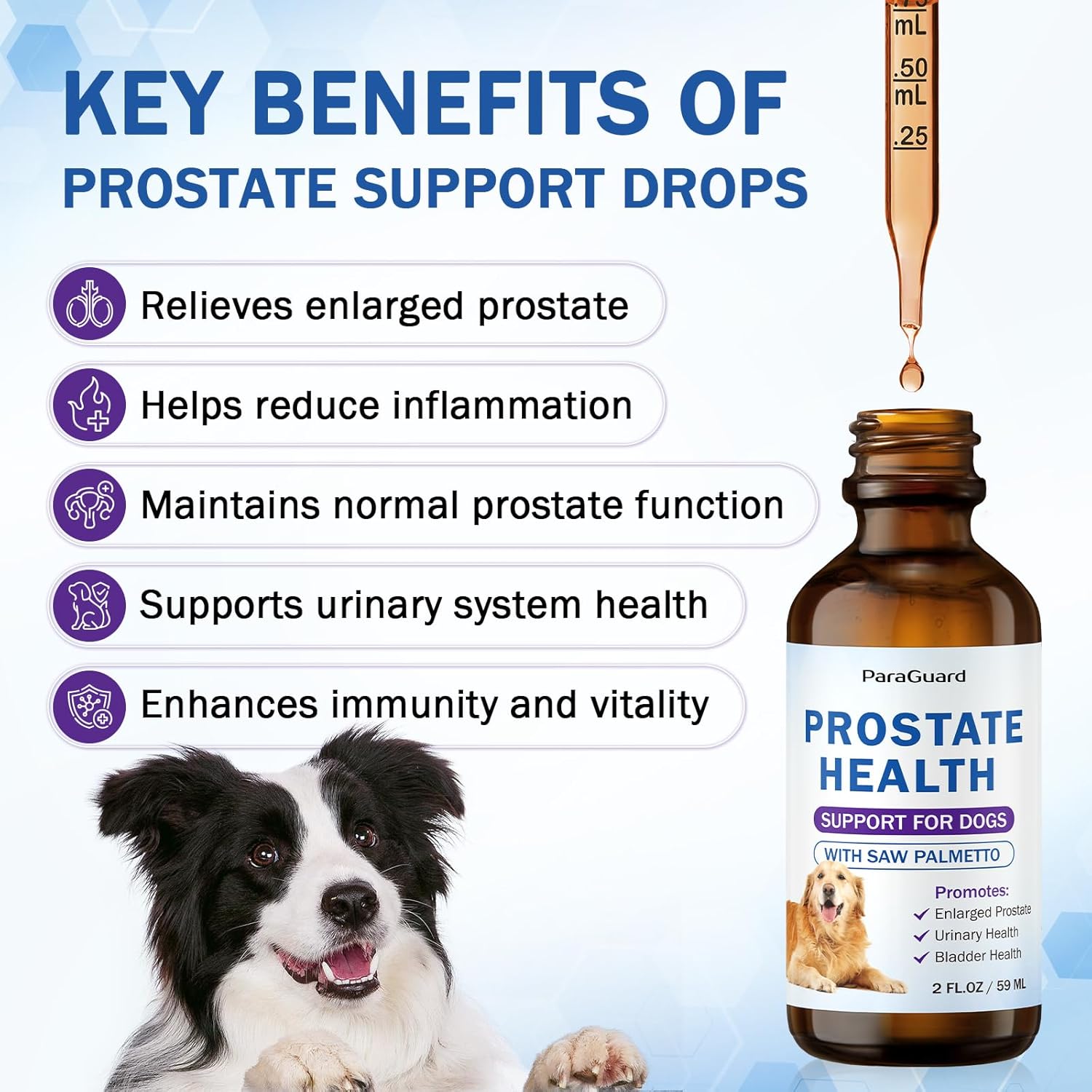 Herbal Drops for Dogs Prostate and Bladder Health, with Saw Palmetto, Relieves Enlarged Prostate, Promotes Immune System, Supports Urinary & Bladder Health for Male Dogs, Natural Herbal Supplement