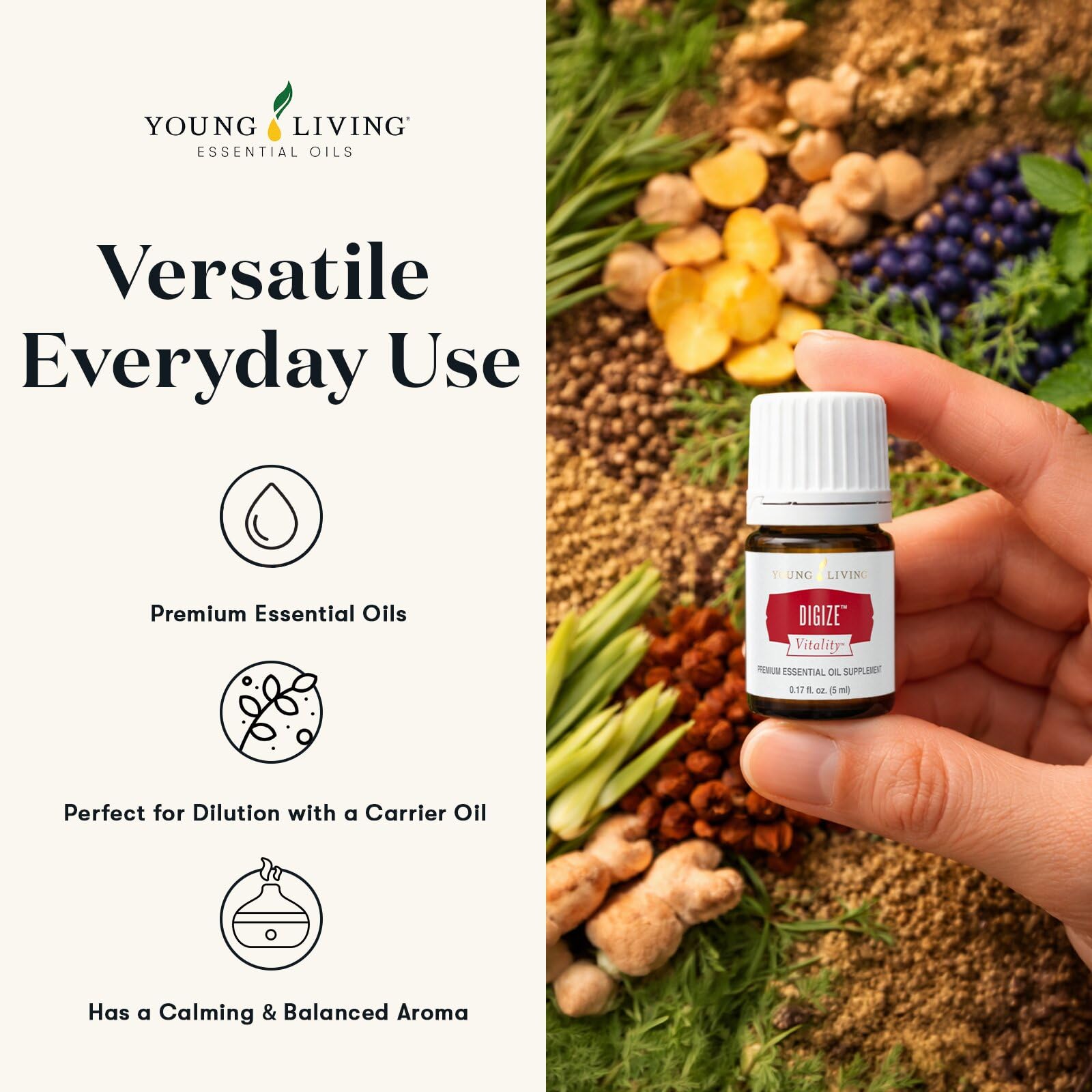 Amazon.com: Young Living DiGize Essential Oil Blend | 5 ml