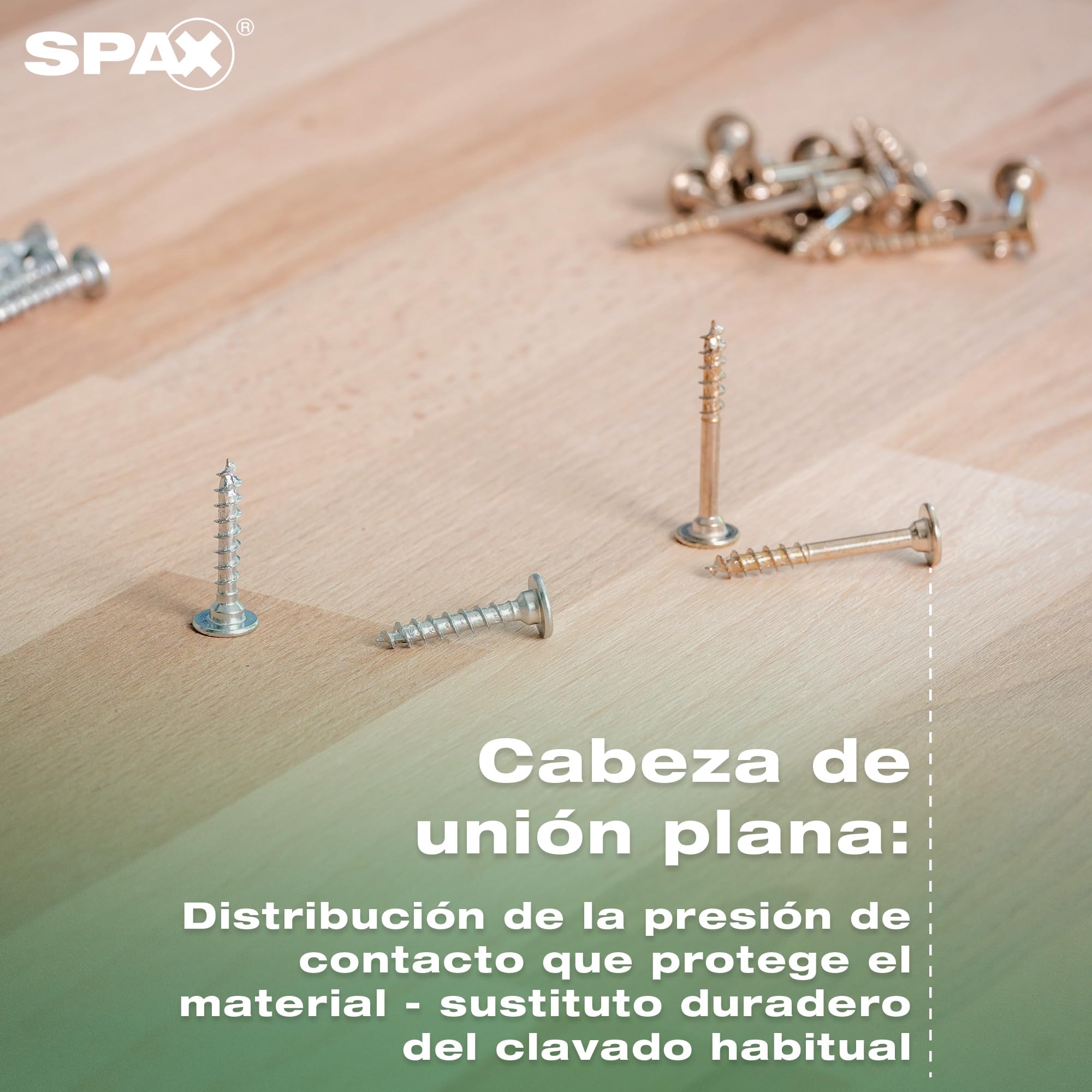 SPAX Juego de tornillos para muebles en Systainer³ T-Loc, 2.900 tornillos en 12 tamaños, incl. 5 puntas T20 y nivel de burbuja – 8000000294617
