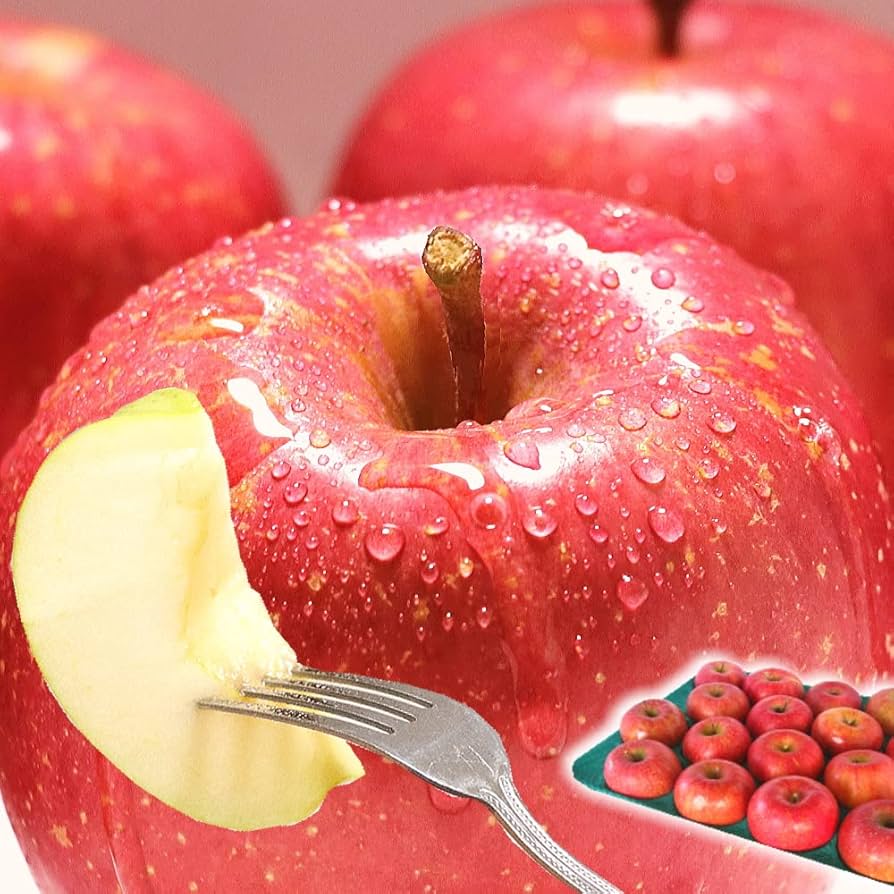 Amazon.co.jp: 青森期待の新人商店 りんご 5kg箱 サンふじ ご家庭用/訳