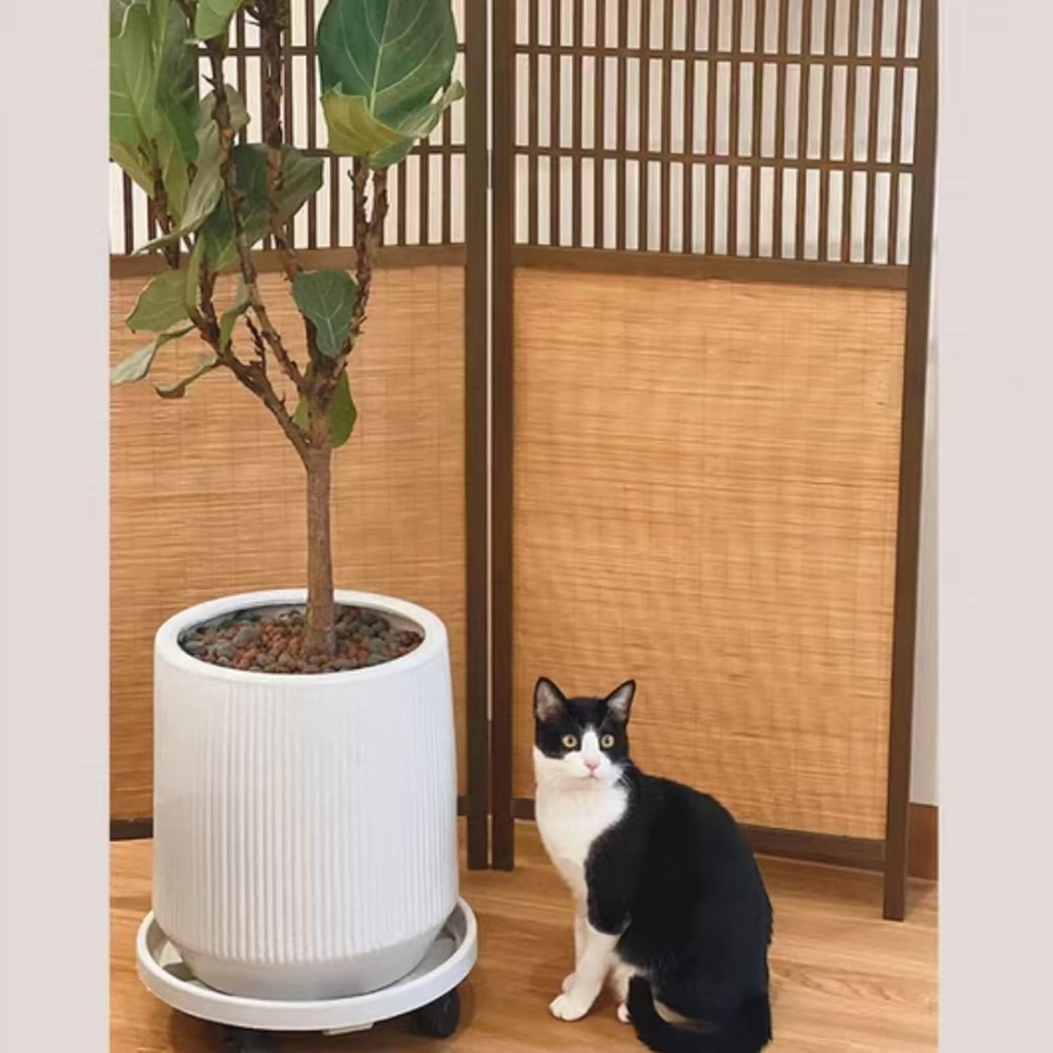 閃乱カグラ アンリミテッドヴァーサス 非売品 ポスター まとめ売り 16