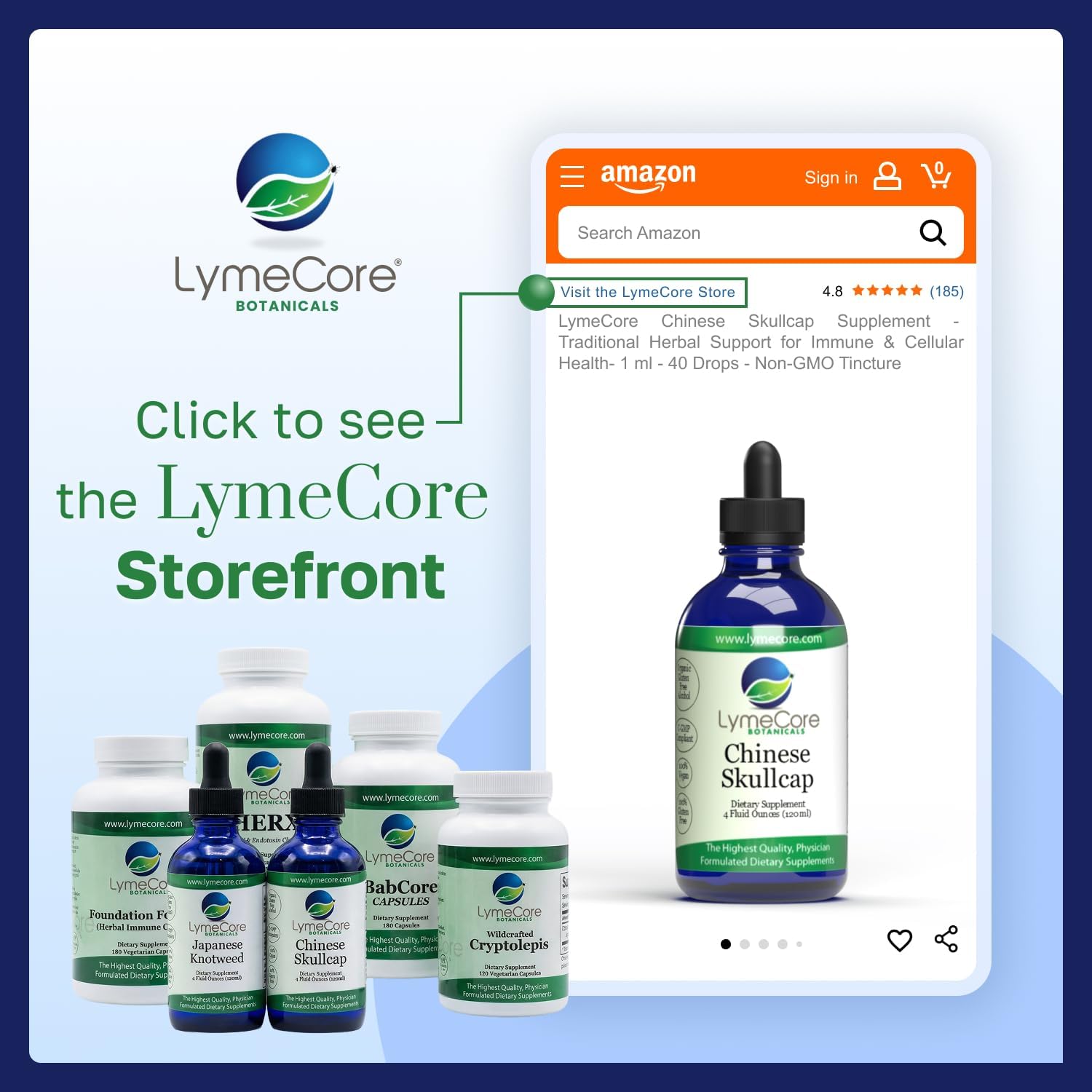 LymeCore Chinese Skullcap Liquid Extract | Baikal Root Supplement for Immune Support & Wellness | 4 fl.oz. - Image 7