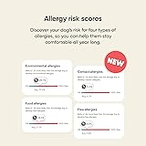 Embark Breed & Health Dog DNA Test - 400+ Breeds, 270+ Health Conditions, Allergy Risk Score, Relatives, and More