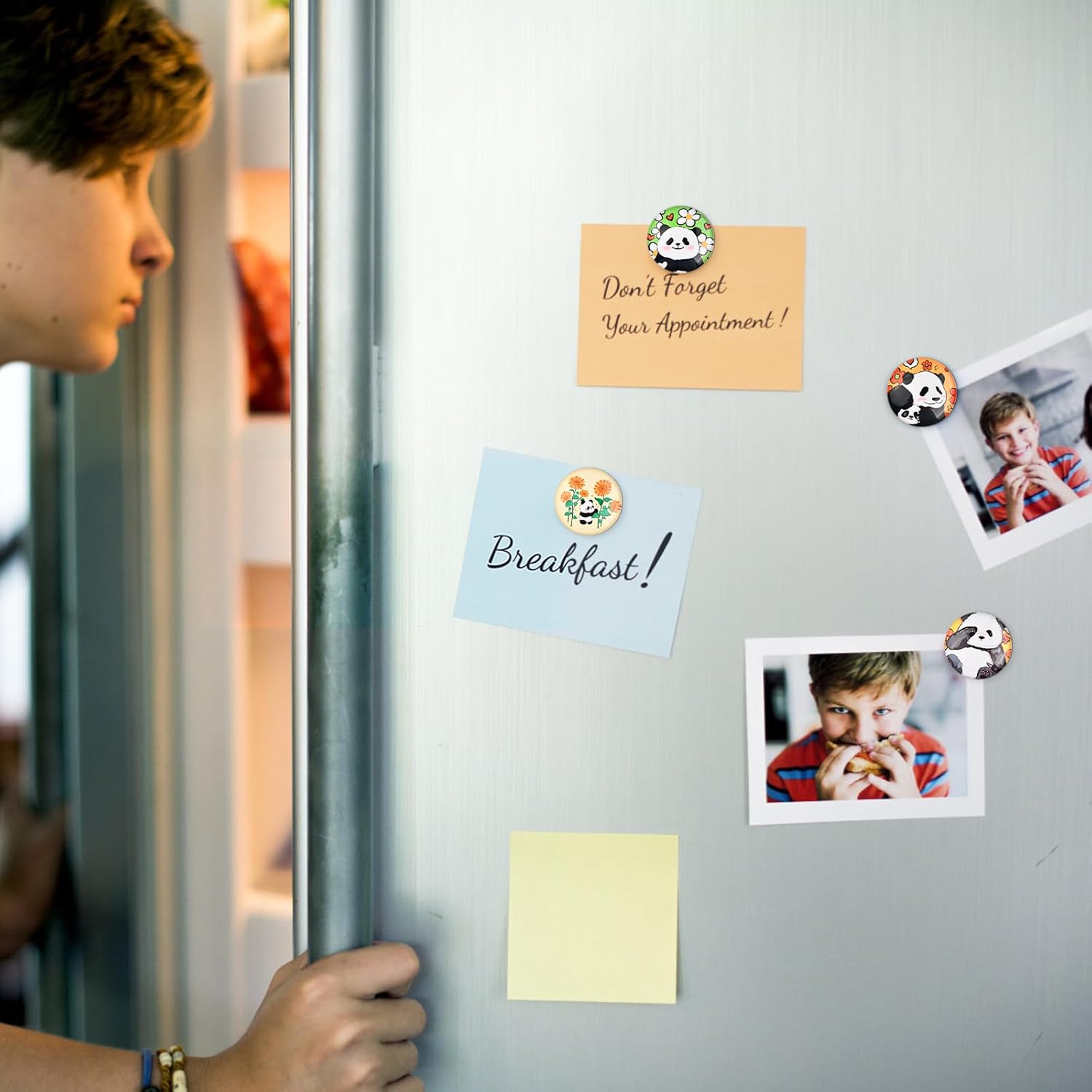 Pack of 12 Fridge Magnets, 30 mm Magnetic Whiteboard Magnets, Office Fridge Magnets, Panda Magnets for Cabinets, Whiteboards, Photos