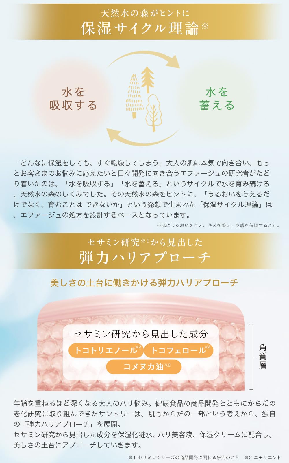 Amazon | サントリー エファージュ ファインスムーズ クレンジング