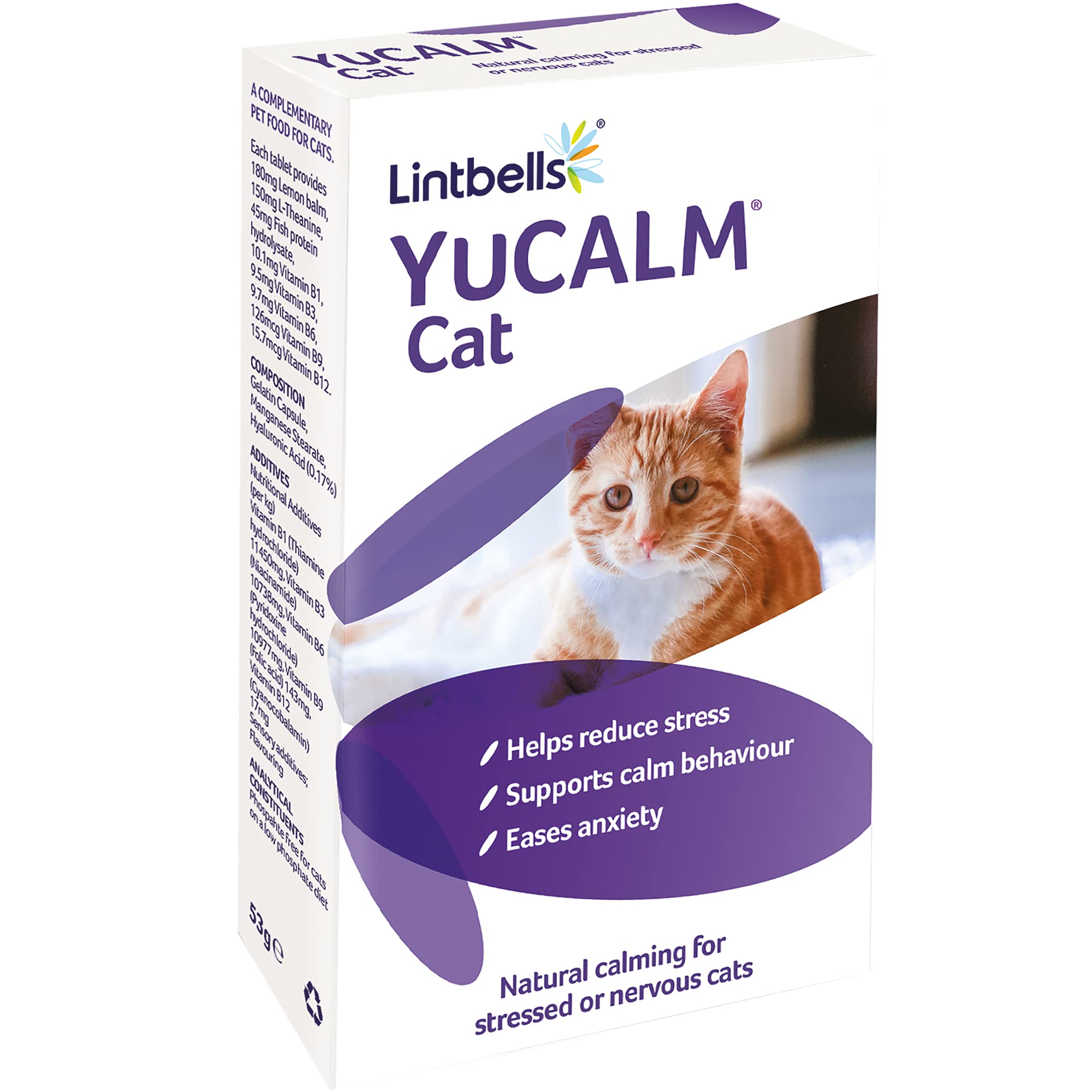 nervous cat medication