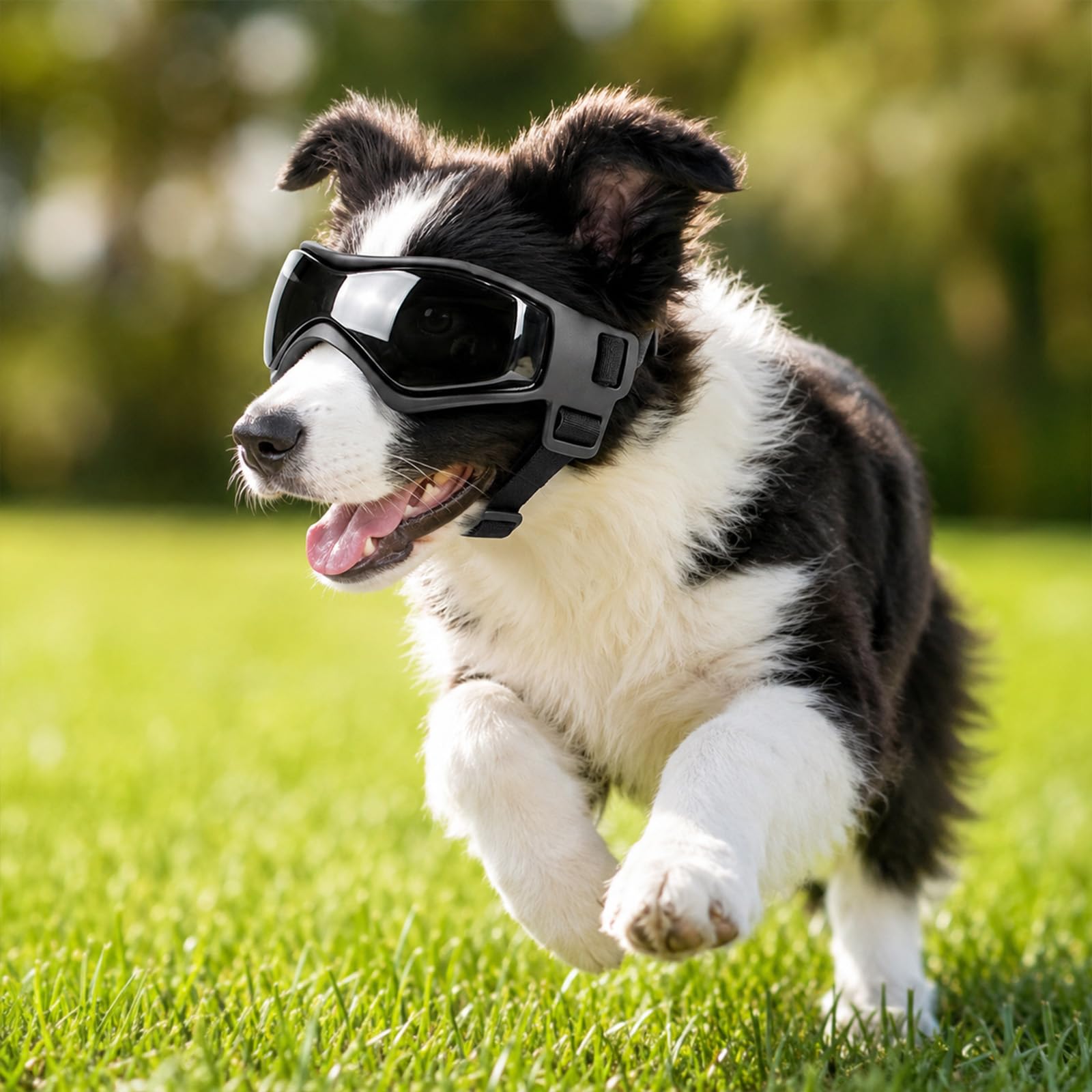 View 7