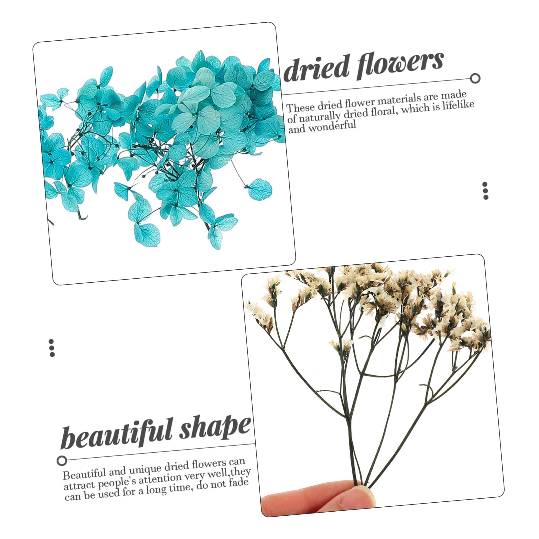 Abaodam 5ensembles Fleurs Séchées Naturelles pour Bougies Artisanales Matériaux à Base De Fleurs Séchées pour Décoration Artisanat Époxy Accessoires Maison