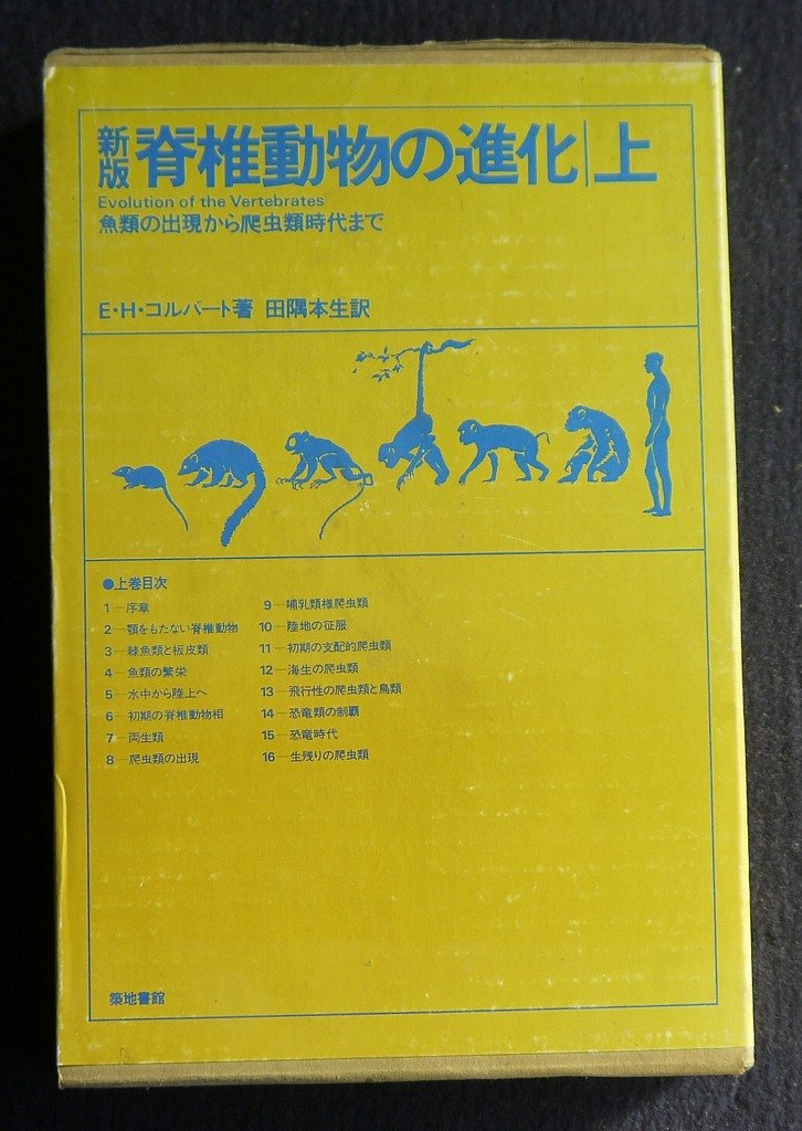 新版 脊椎動物の進化 上 魚類の出現から爬虫類時代まで E H コルバート 田隅 本生 本 通販 Amazon