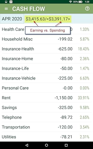Networth2b Budget & Flow - Basic Edition