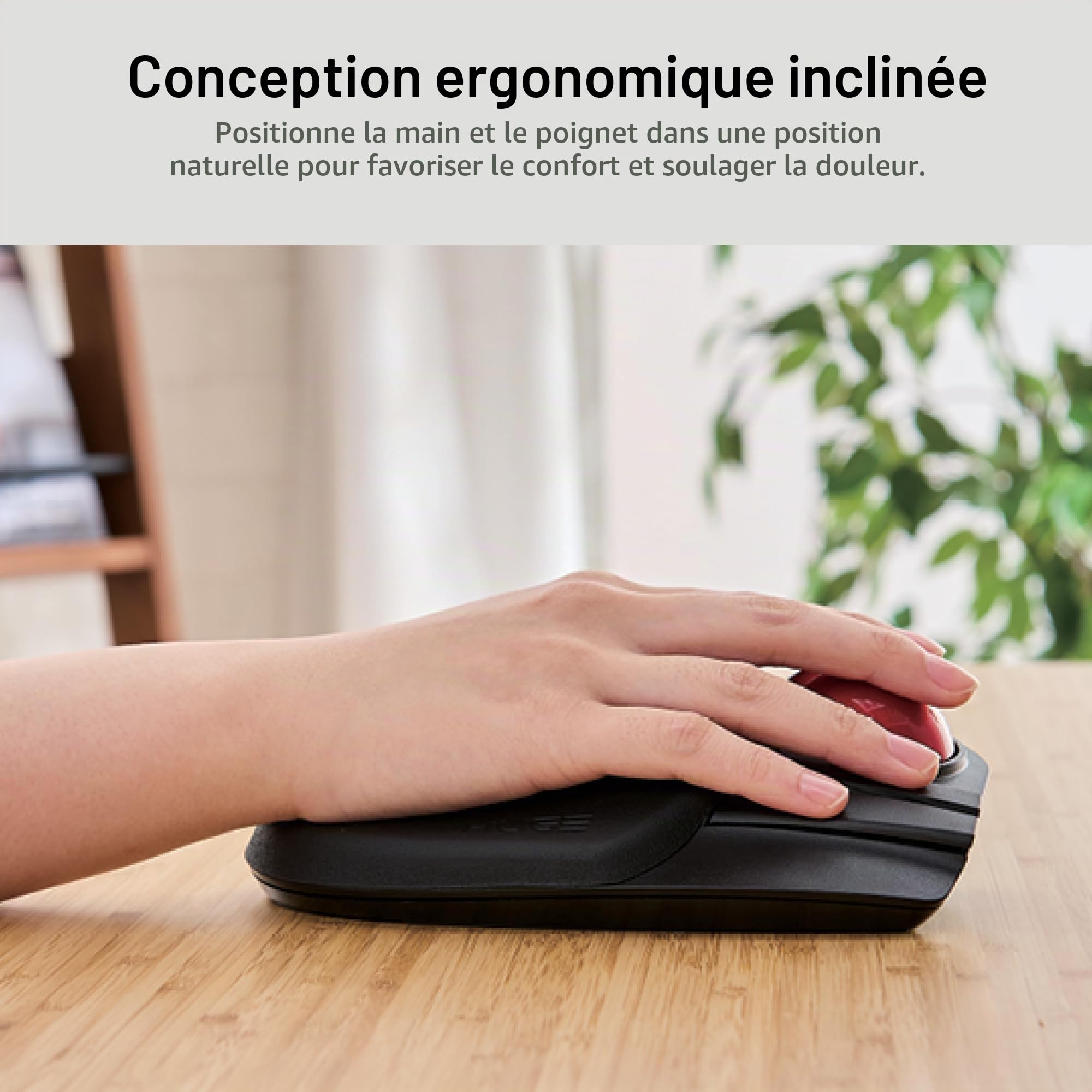 ELECOM Grande Souris trackball, sans Fil 2,4 GHz, contrôle des Doigts, Fonction 8 Boutons, Repose-Poignet attaché, Boule Rouge Lisse de 52 mm, Windows11, MacOS (M-HT1DRBK)