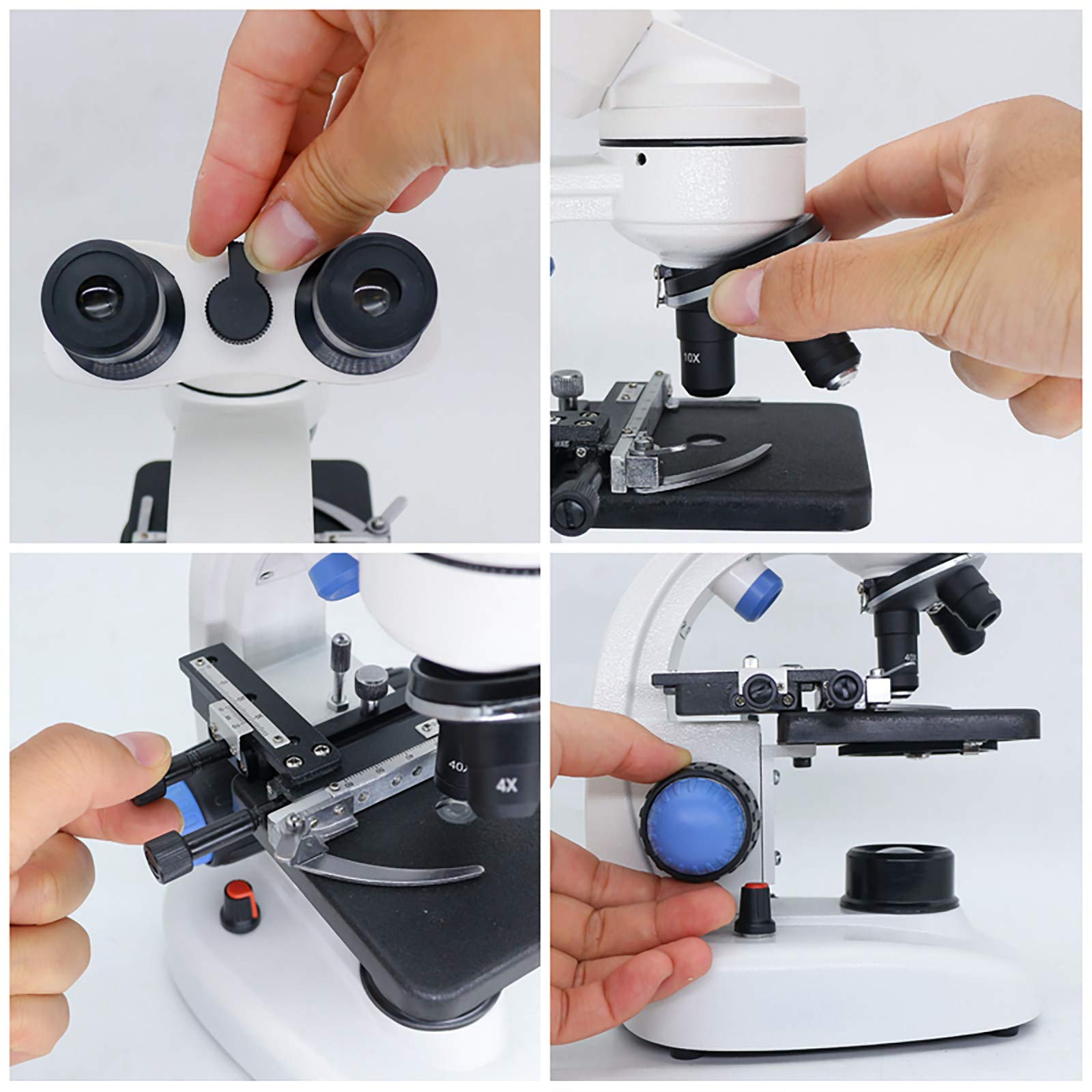 QUNINE Microscopio Biologico binoculare 40-1000X Microscopio Digitale per Fotocamera USB da 2.0Mp Microscopio Digitale da 100 Pezzi Campione Studente Laboratorio Esperimento Biologico