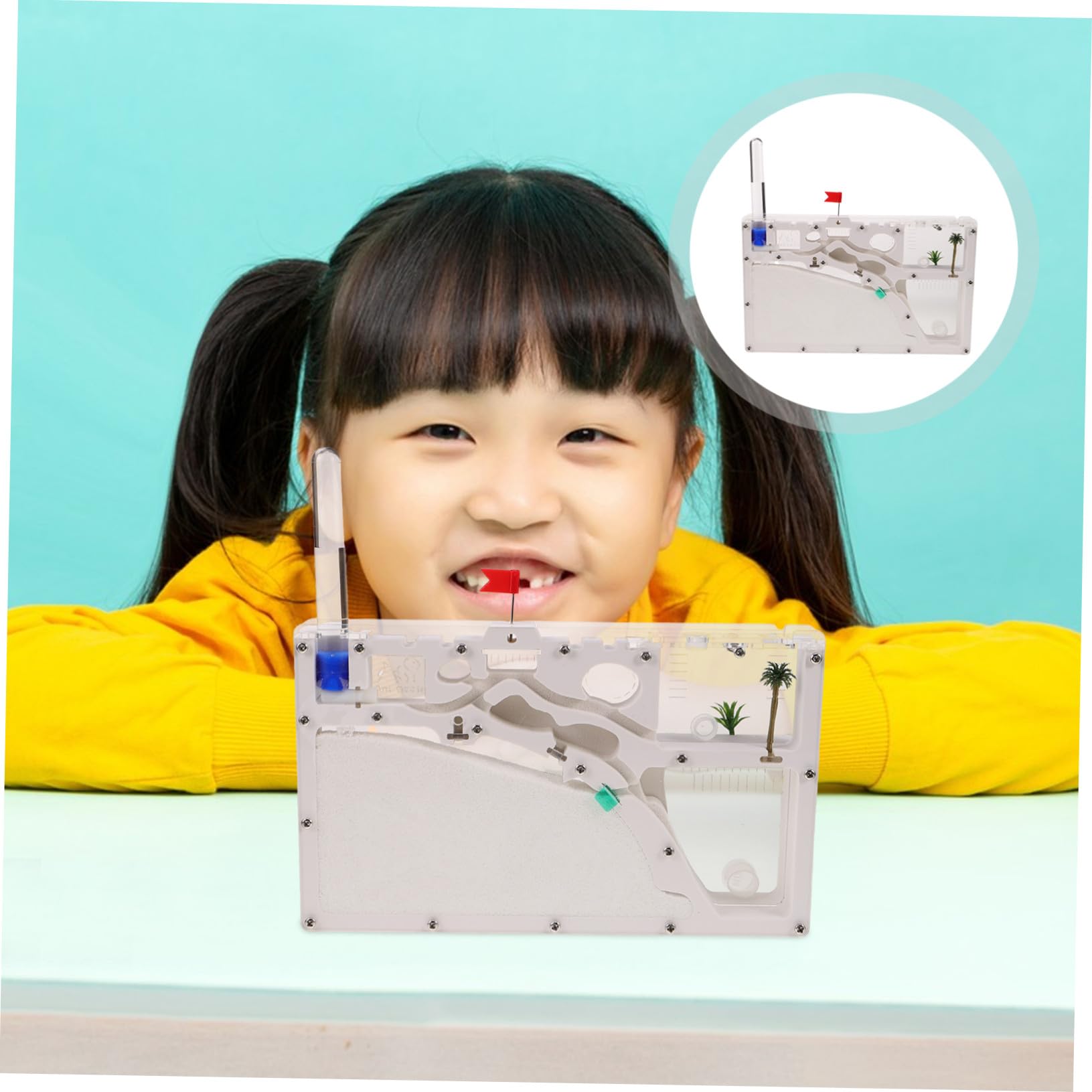 Ant Habitat Castillo Ecológico Transparente Terrario Kit para Observación y Experimentación Científica Infantil Educativo