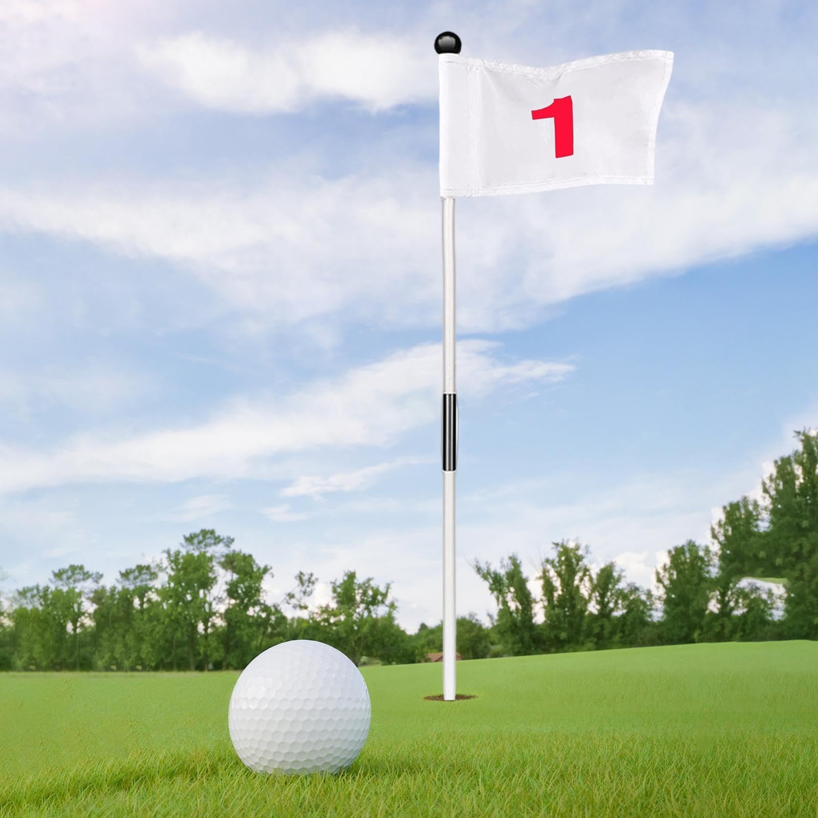 Ensemble de drapeaux de golf portable amovible trou de golf professionnel durable robuste stable