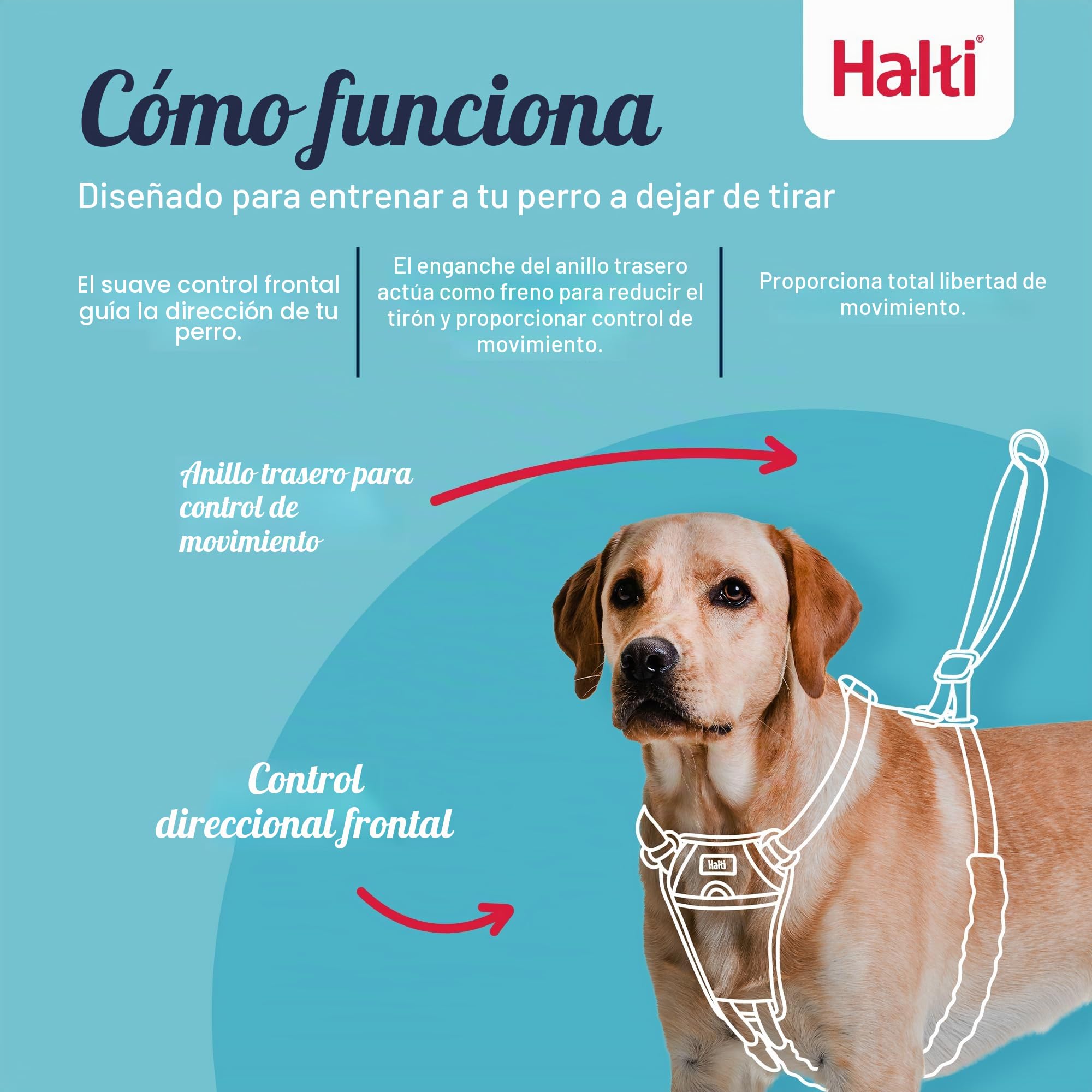HALTI - Arnés antitirones tamaño mediano y correa de entrenamiento HALTI tamaño grande, paquete combinado negro - Evita que tu perro tire de la correa. Ajustable, ligero y fácil de usar. Adecuado para