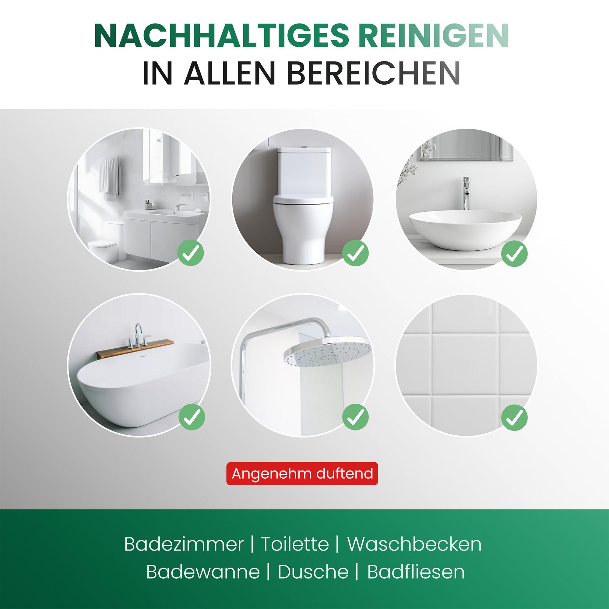 BiOHY Detergente per bagno Plus (Lattina da 10 Litri) + Rubinetto di scarico | Concentrato decalcificante per ambienti sanitari | profumo gradevole e fresco | EXTRA FORTE (Sanitärreiniger Plus)