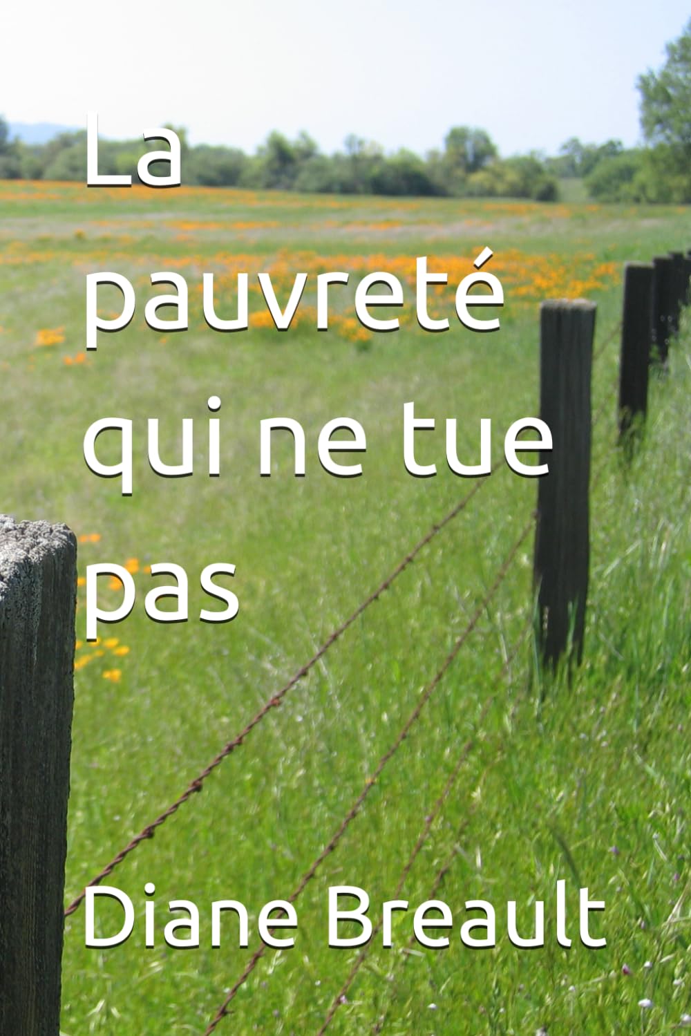 La pauvreté qui ne tue pas