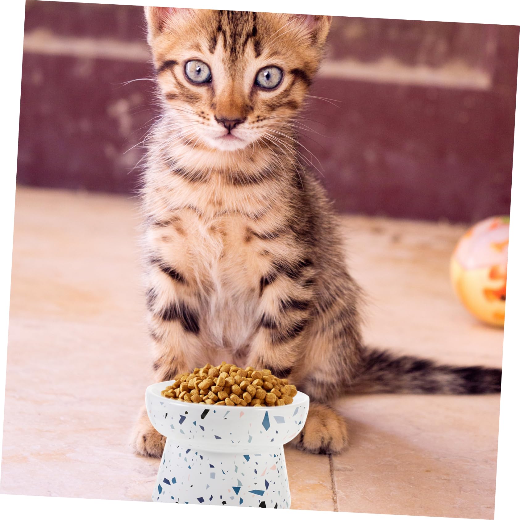 Cuenco Elevado para Gatos de Cerámica Protección Cervical