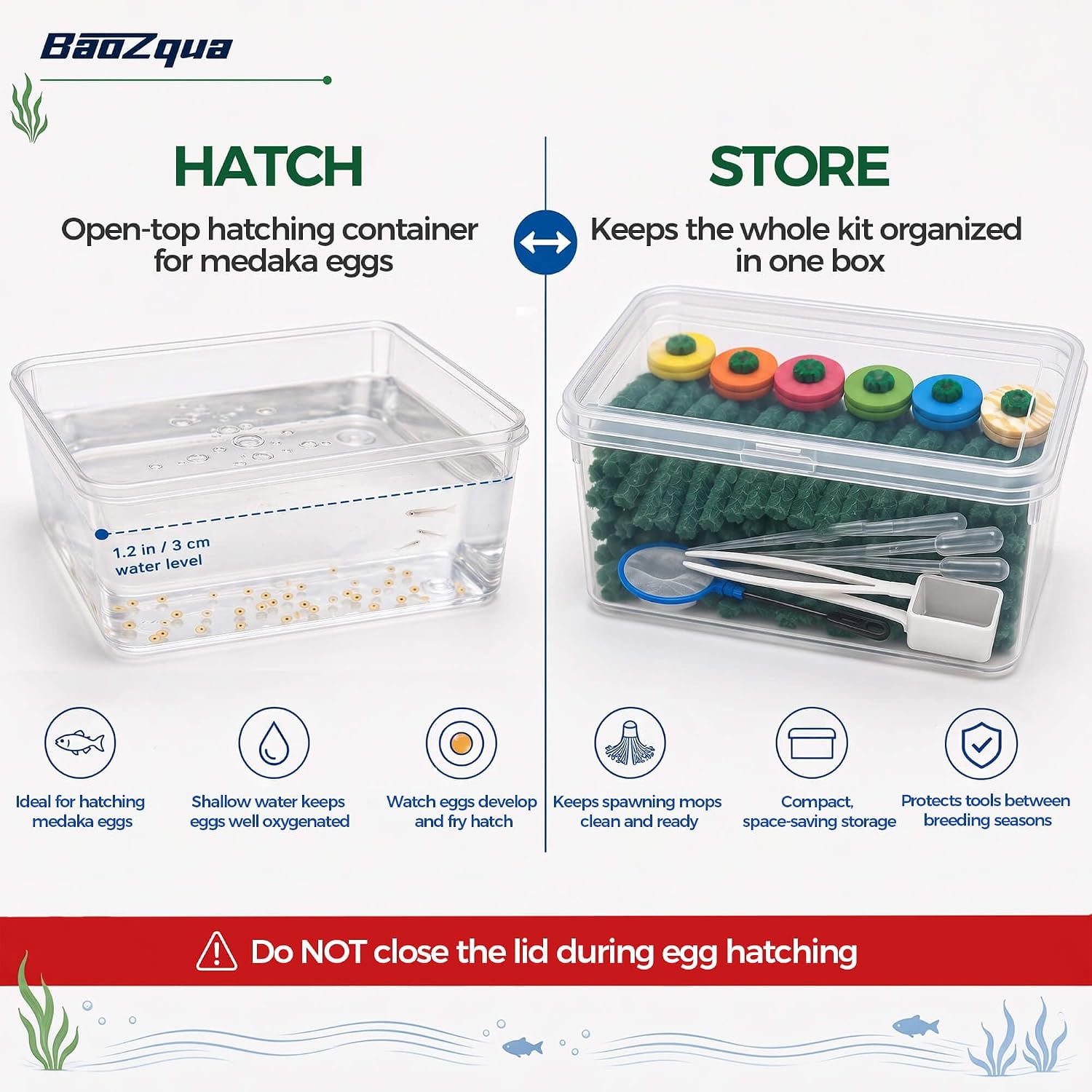 Medaka Spawning Mop Kit, 10 Floating Egg Collectors with Hatch Box | For Japanese ricefish & killifish breeding, with 2 fine mesh fry nets, 3 droppers & egg tweezers, fits tanks, tubs & ponds