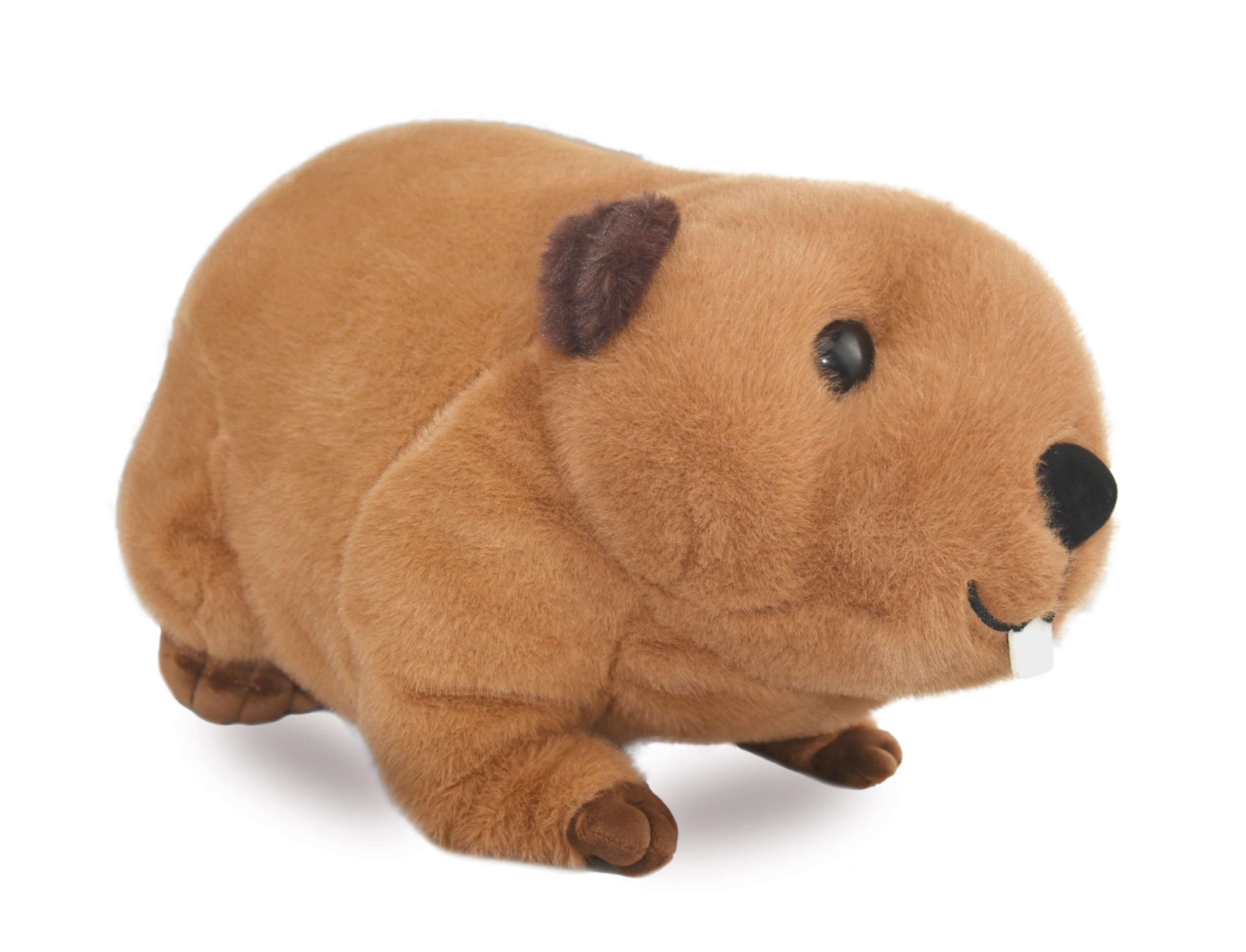 Amazon.com: Lifelike Beaver Stuffed Animal with Big Front Teeth