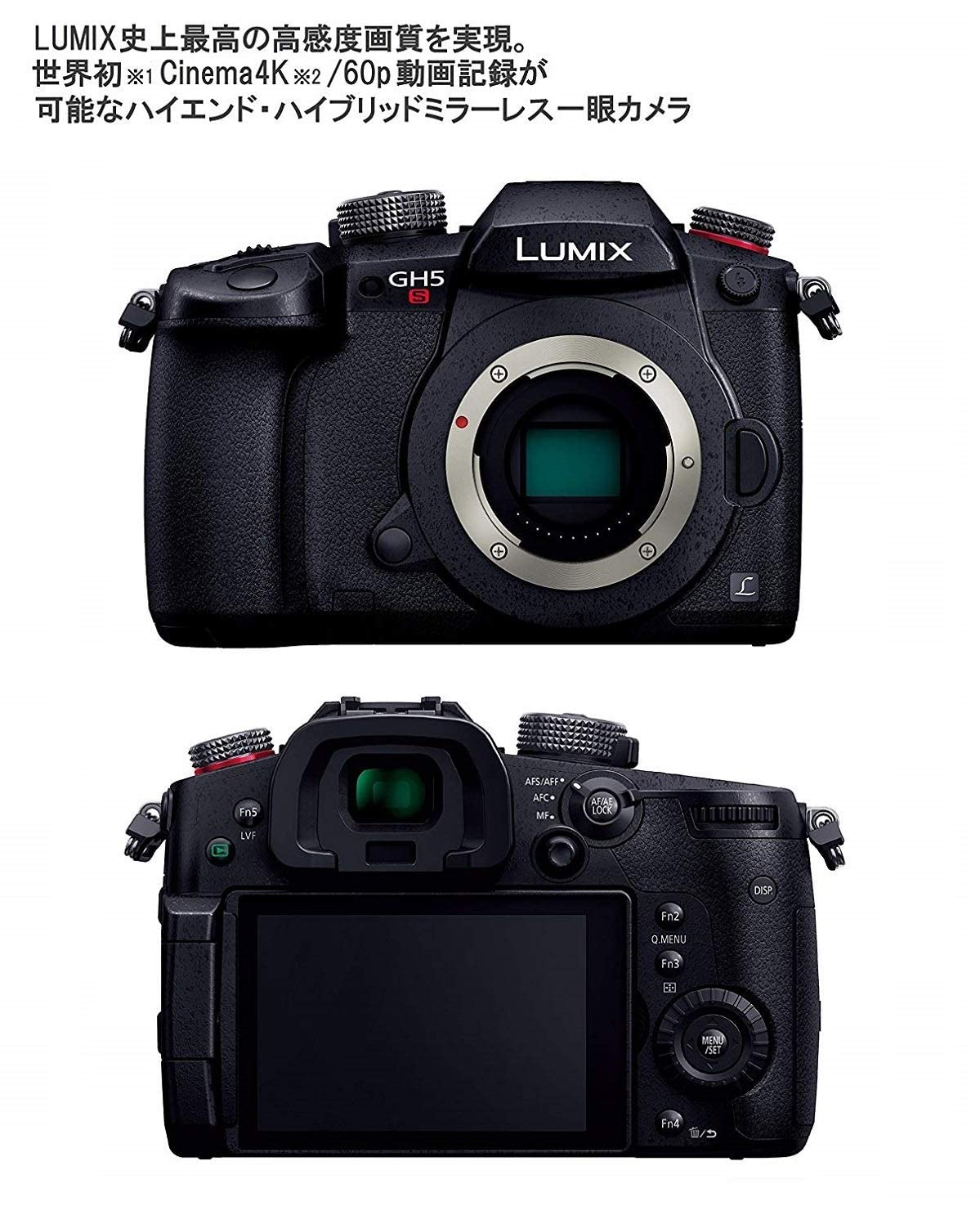 Amazon | 【整備済み品】 パナソニック ミラーレス一眼カメラ 