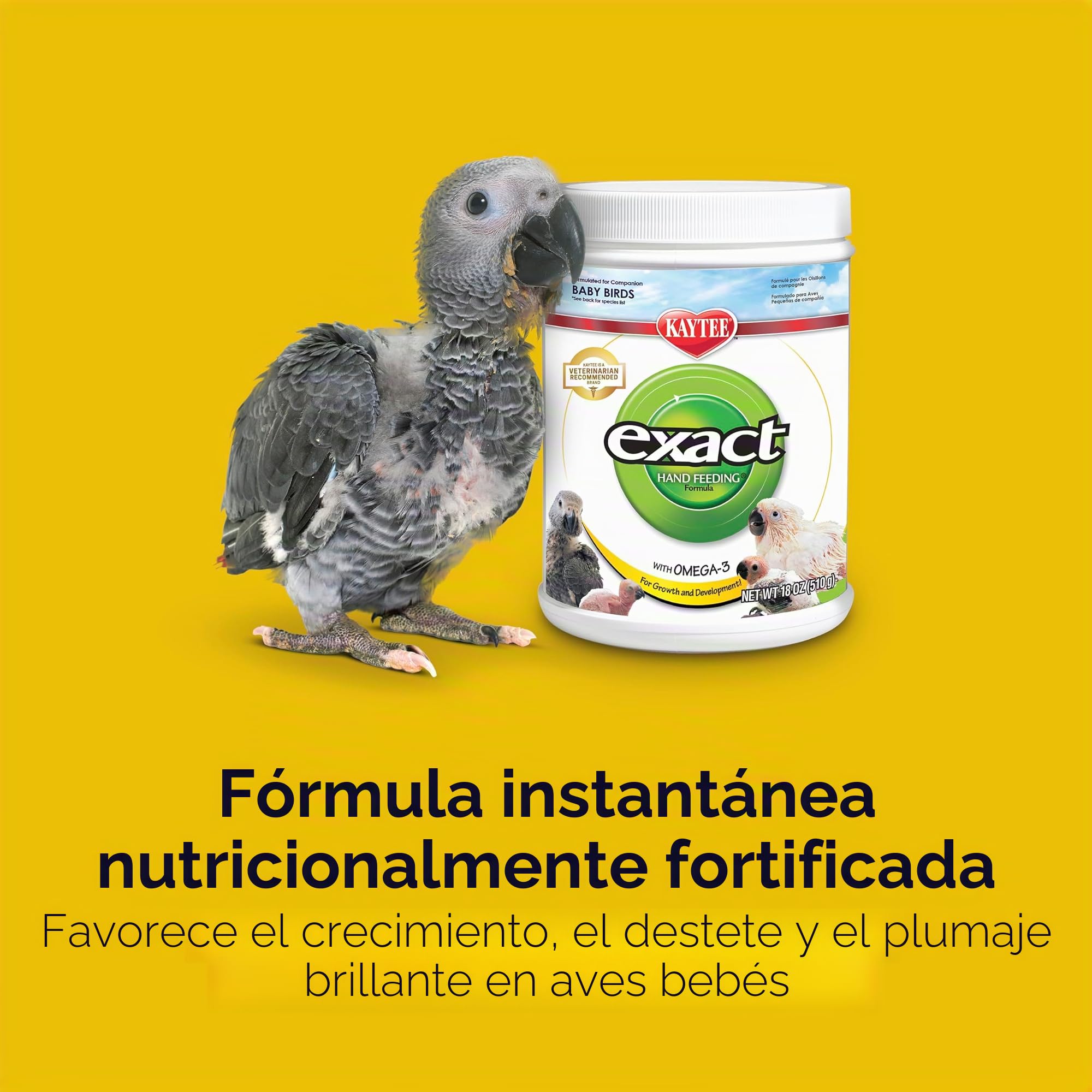Kaytee Alimentación Manual exacta para pájaros bebés, 18 onzas