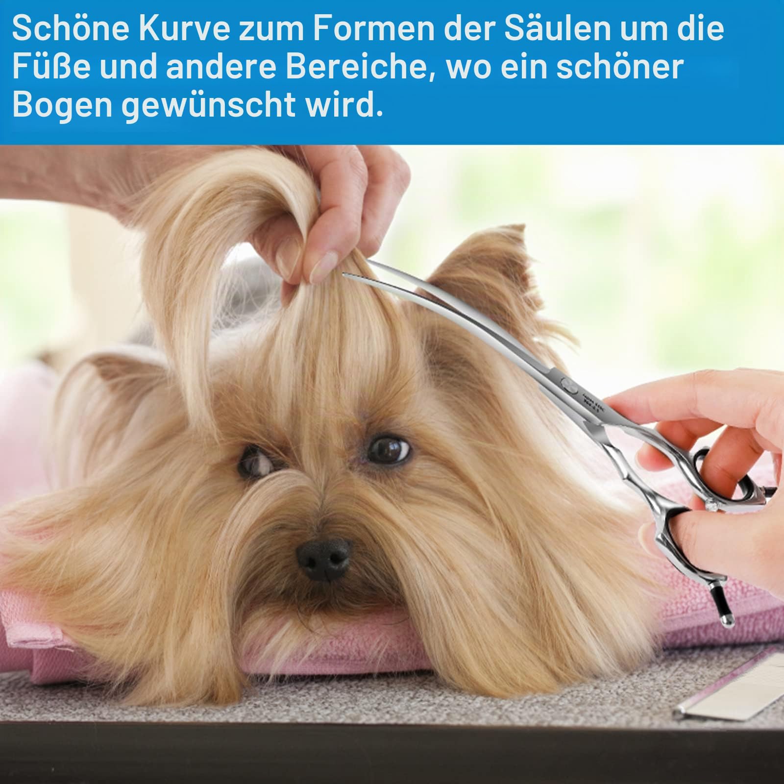 HASHIMOTO Hundepflegeschere, gebogene Schere für die Hundepflege, 6,5 Zoll, 30 Grad gebogene Klinge, leichtes Gewicht, Haustierschere zum Trimmen von Gesicht und Pfoten.