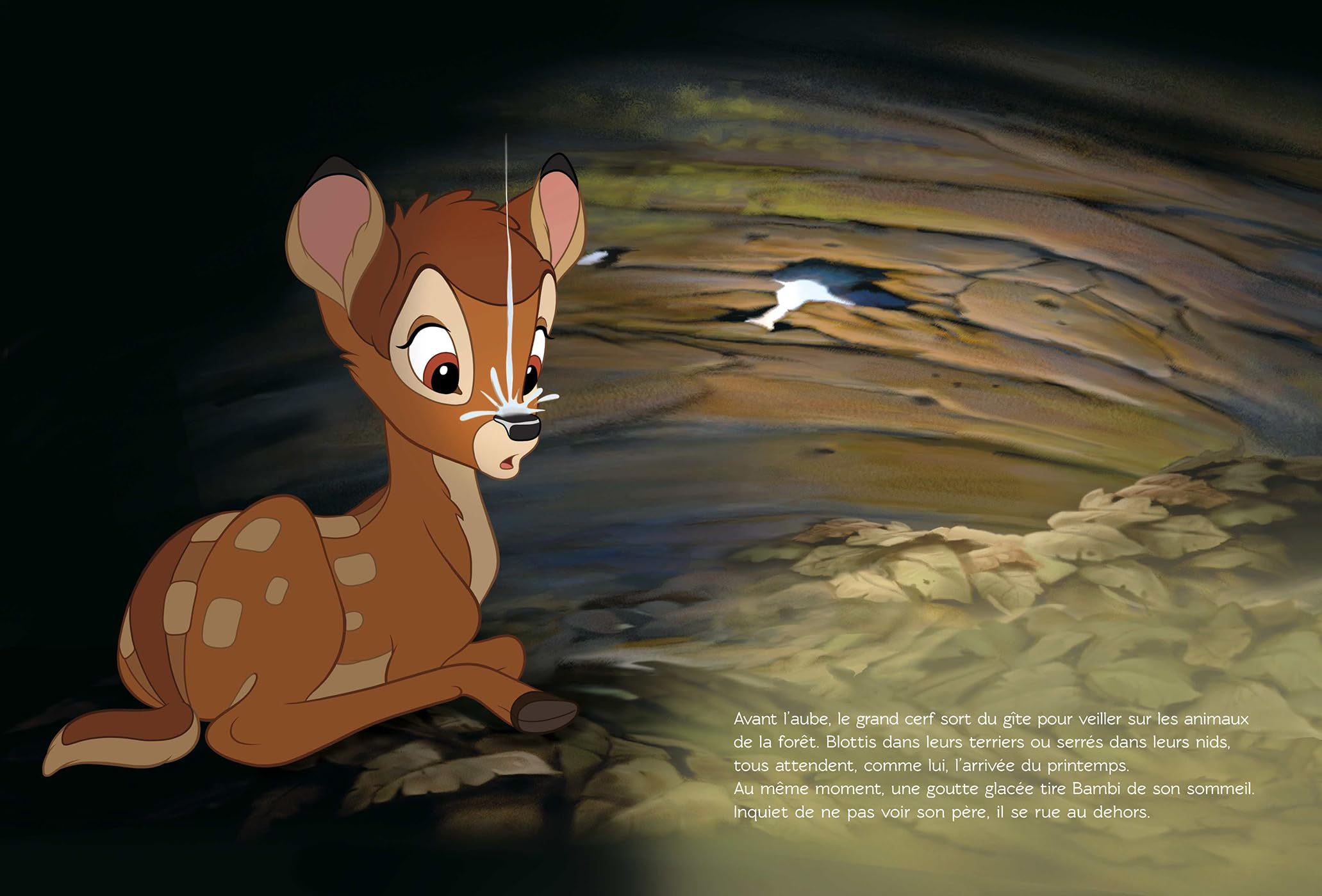 BAMBI 2 - Disney Cinéma - L'histoire du film