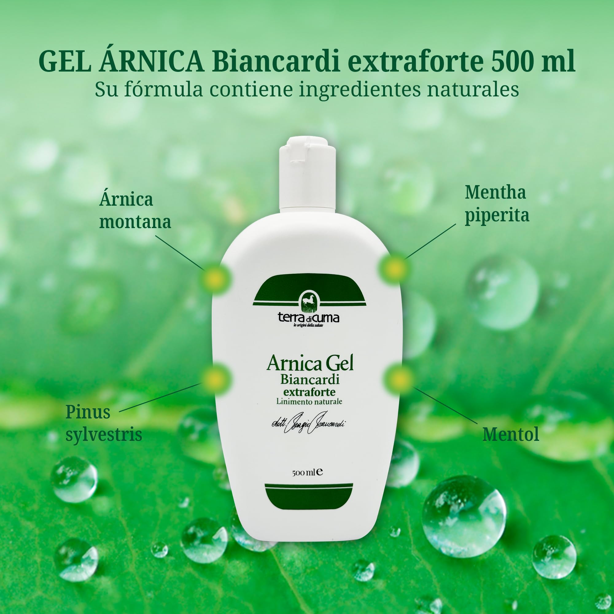 Terra di Cuma Arnica Gel de Linimento Natural Extra Fuerte, 500ml