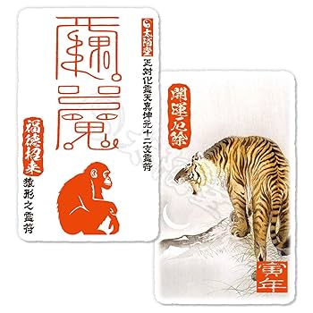 Amazon.co.jp: 大運をつかむ干支守護符【正対化霊天真坤元十二支