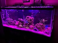 Review Image by Joyce from Ohio Joyce from Ohio