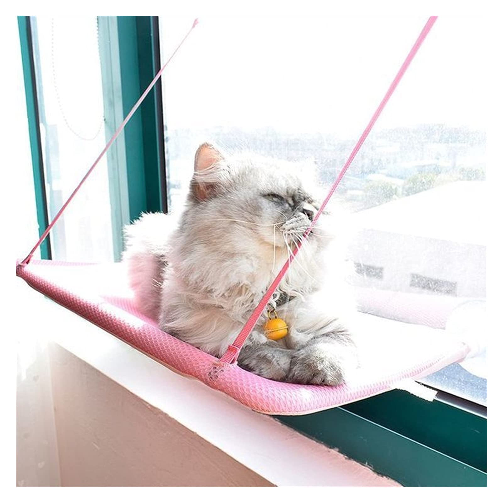 Hamac Chat/Perchoir à Chat Perche de fenêtre de chat, chat vitrine Hamac d'intérieur Espace intérieur Sauvegarde de la fenêtre de chat monté, for grand chat et chaton Hamac pour Animaux ( Color : Roze