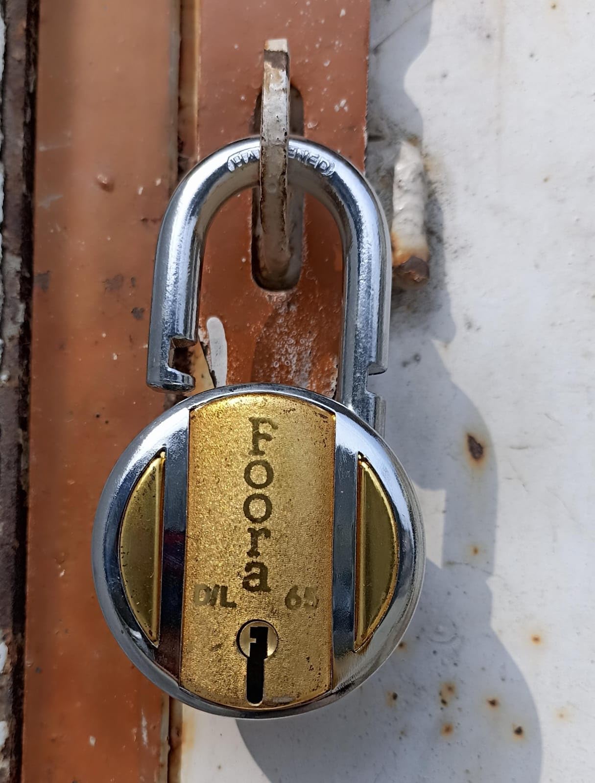 Foora Brass Top Round 65mm Padlock Hardened Shackle Double Locking 8 Steel Lever 5 Silver Keys Suitable for Home, Office, Apartment, Main Door, Gate, Shutters and Warehouse (B0CS2VXHHM) Amazon Price History, Amazon Price Tracker