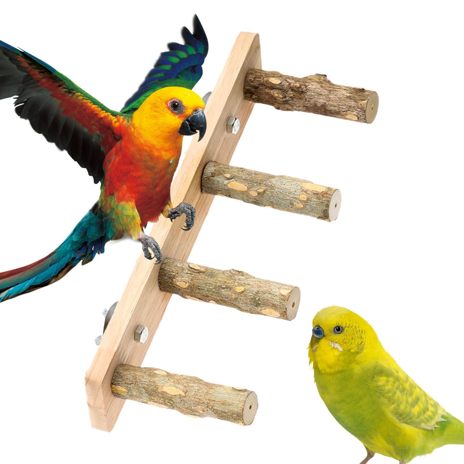 木製鳥用多層スタンド 楽天市場】インコ スタンドの通販