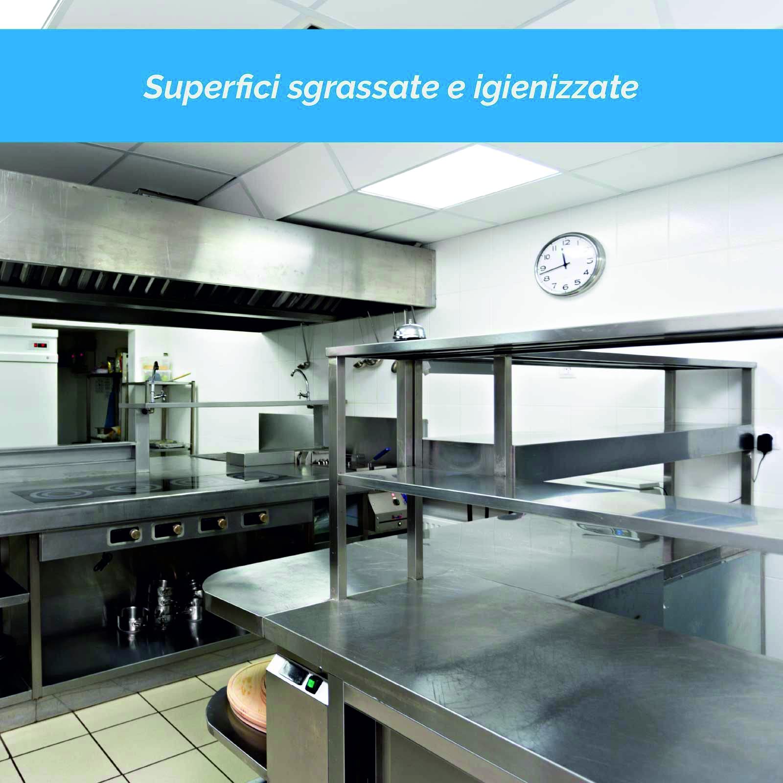 SGRASSATORE per Grassi CARBONIZZATI Grill Clean CONCENTRATO - Pz. 2 da 1 L HD