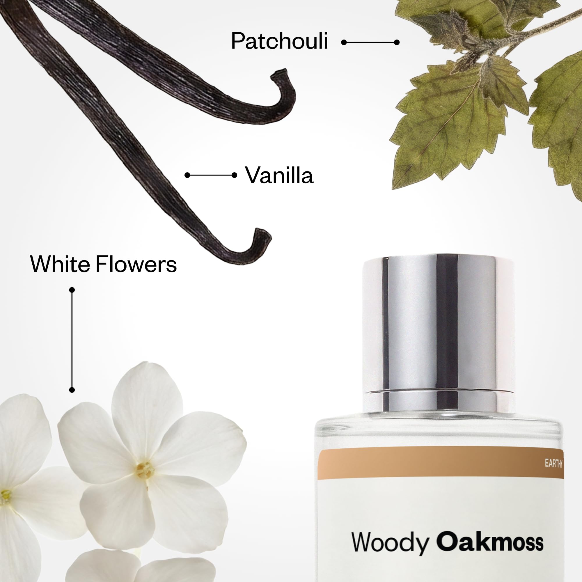Amazon.com : Dossier - Woody Oakmoss - Eau de Parfum - Inspired by