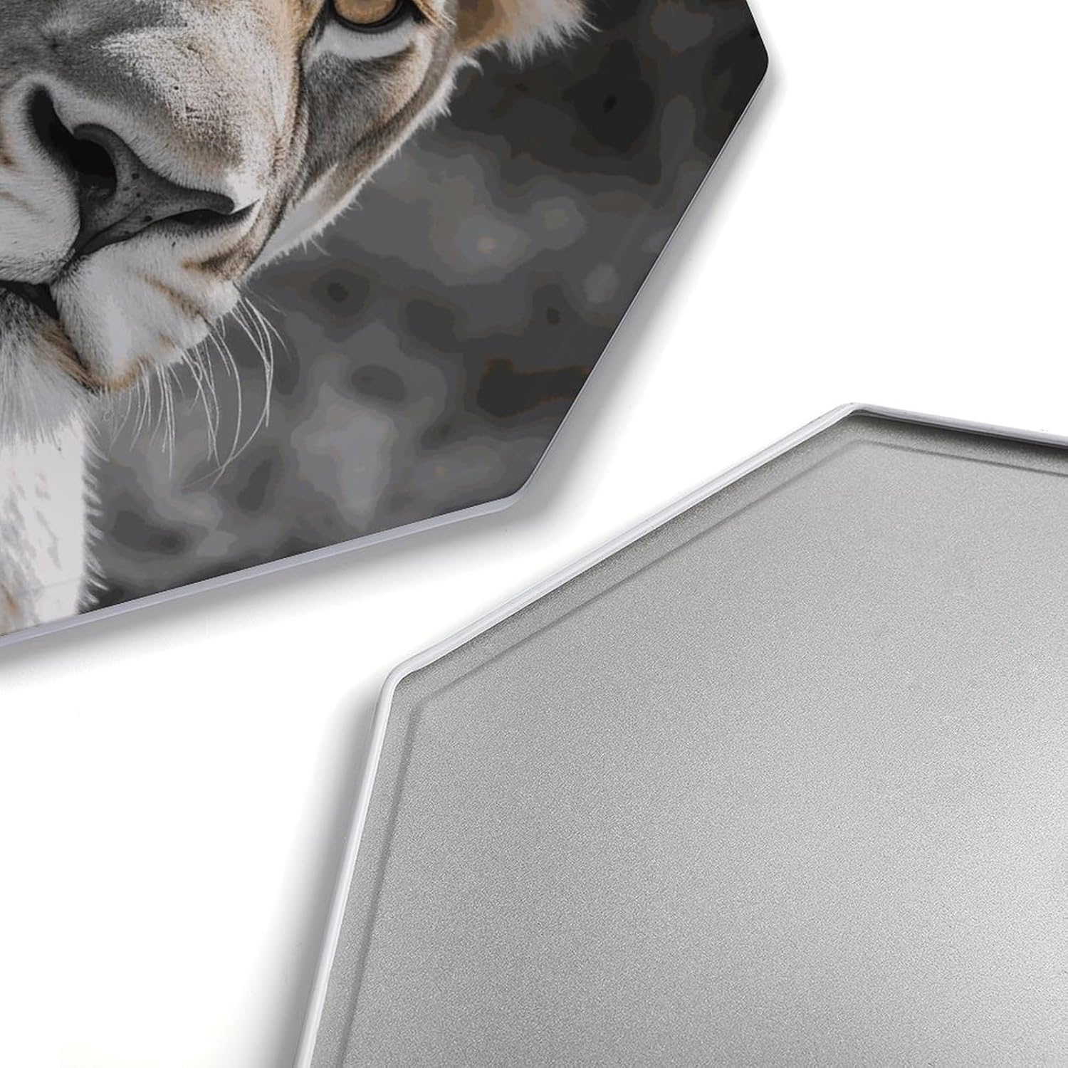 Ctagon Metal Sign for Home, Modern Display Plate for Kitchen, Lioness Plates Accent Hanging Wall Decorations 3PCS for Living Room, Bedroom, Hallway, Hotel