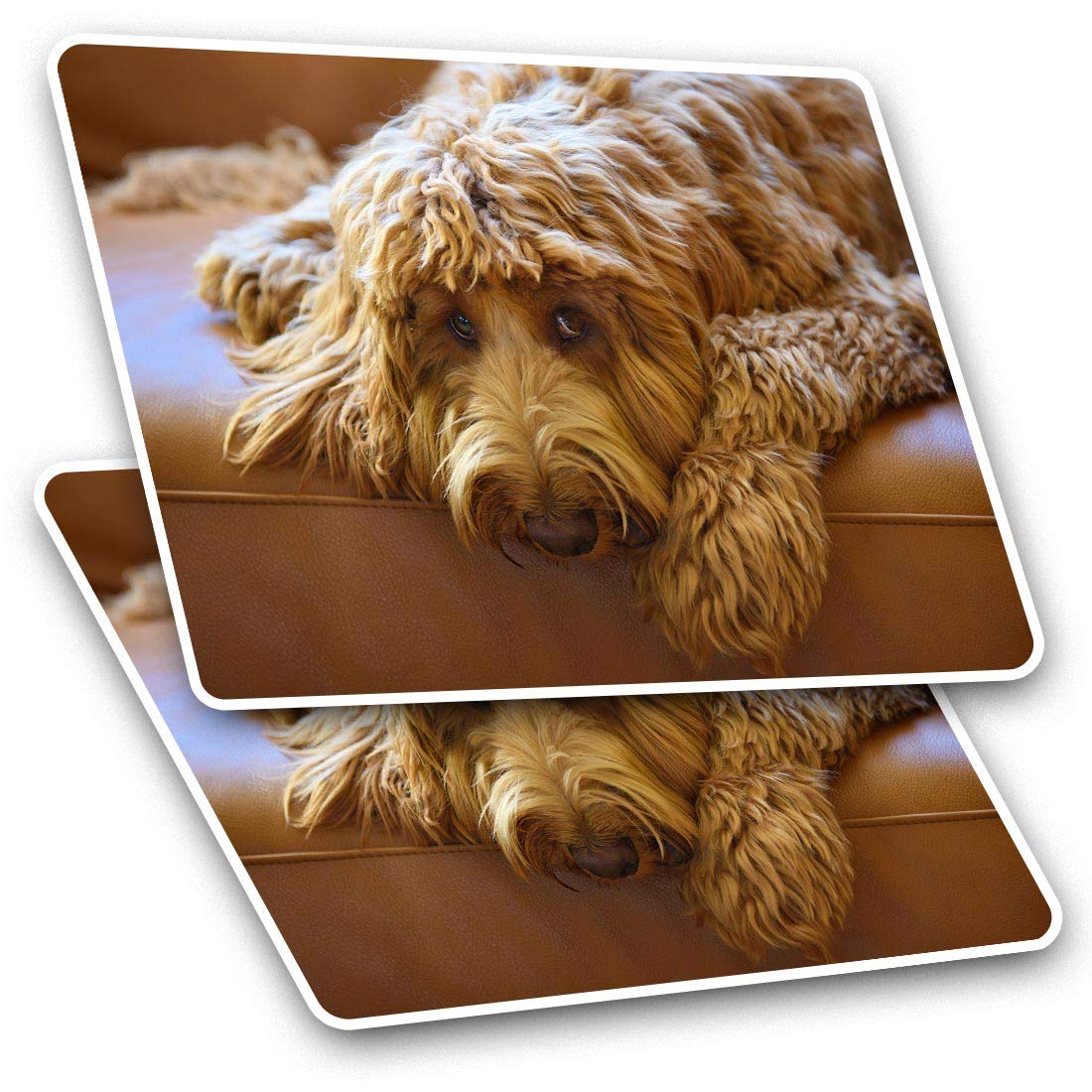 Destination Vinyl Ltd Multi 2 X 7.5Cm Rectangle Vinyl Stickers - Labradoodle Dog Labrador Poodle 15514