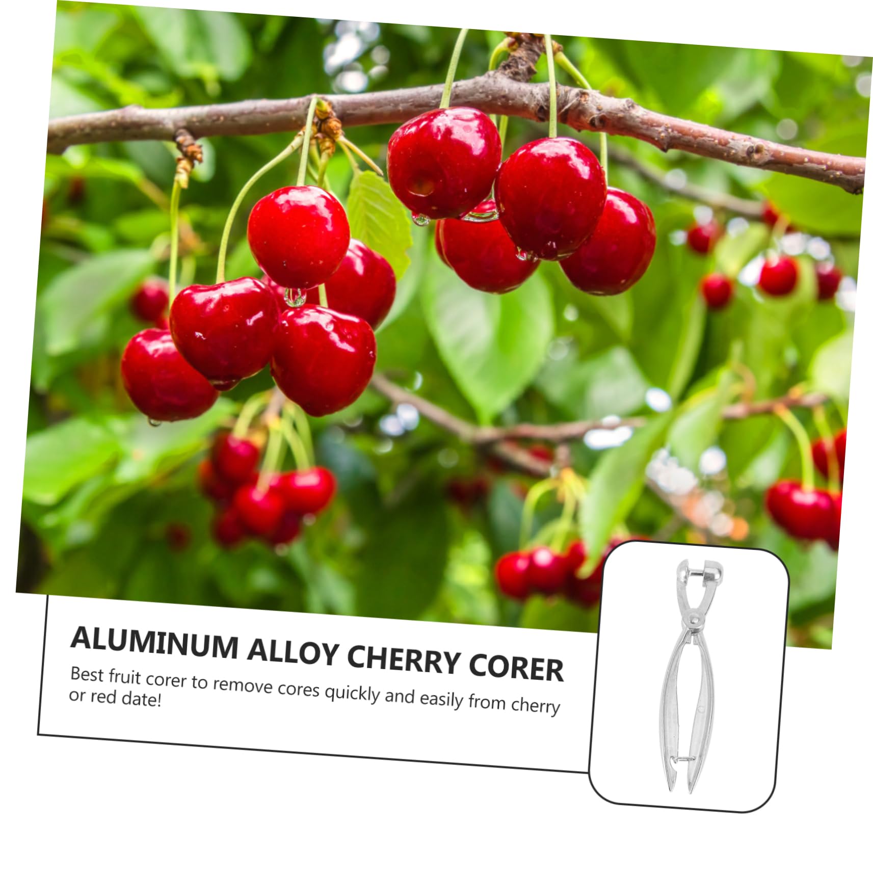 KICHOUSE Simple Fruit Corer Cherry and Date Kernel Remover for Kitchen Gadget Enthusiasts