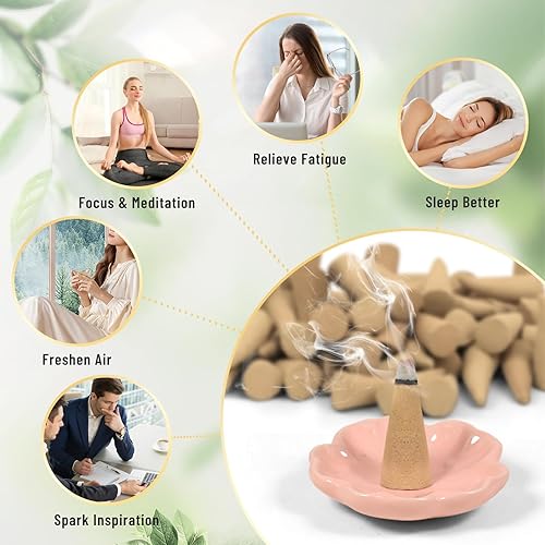 Miniatura 7 de STRN Conos de incienso, 120 conos perfumados para todas las estaciones, varios aromas de incienso con soporte para incienso, vainilla y menta, coco,