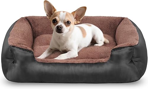 Cama para perros pequeños, camas lavables para perros con lados, cómoda y transpirable con parte inferior antideslizante, color negro