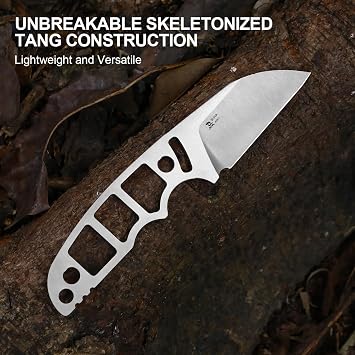 Kizer Snick Fixed Blade Knife with Sheath, 2.68 AEB-L Steel Sheepfoot Camping Knife with Black G10 Handle, EDC Knives for Hiking 1085A1