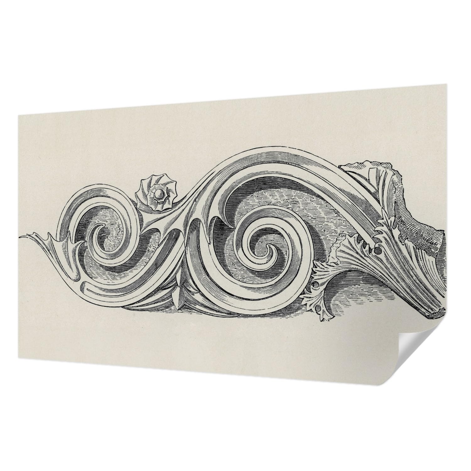 Papier peint auto-adhésif 416x254 cm motif plante ornementale pour salon