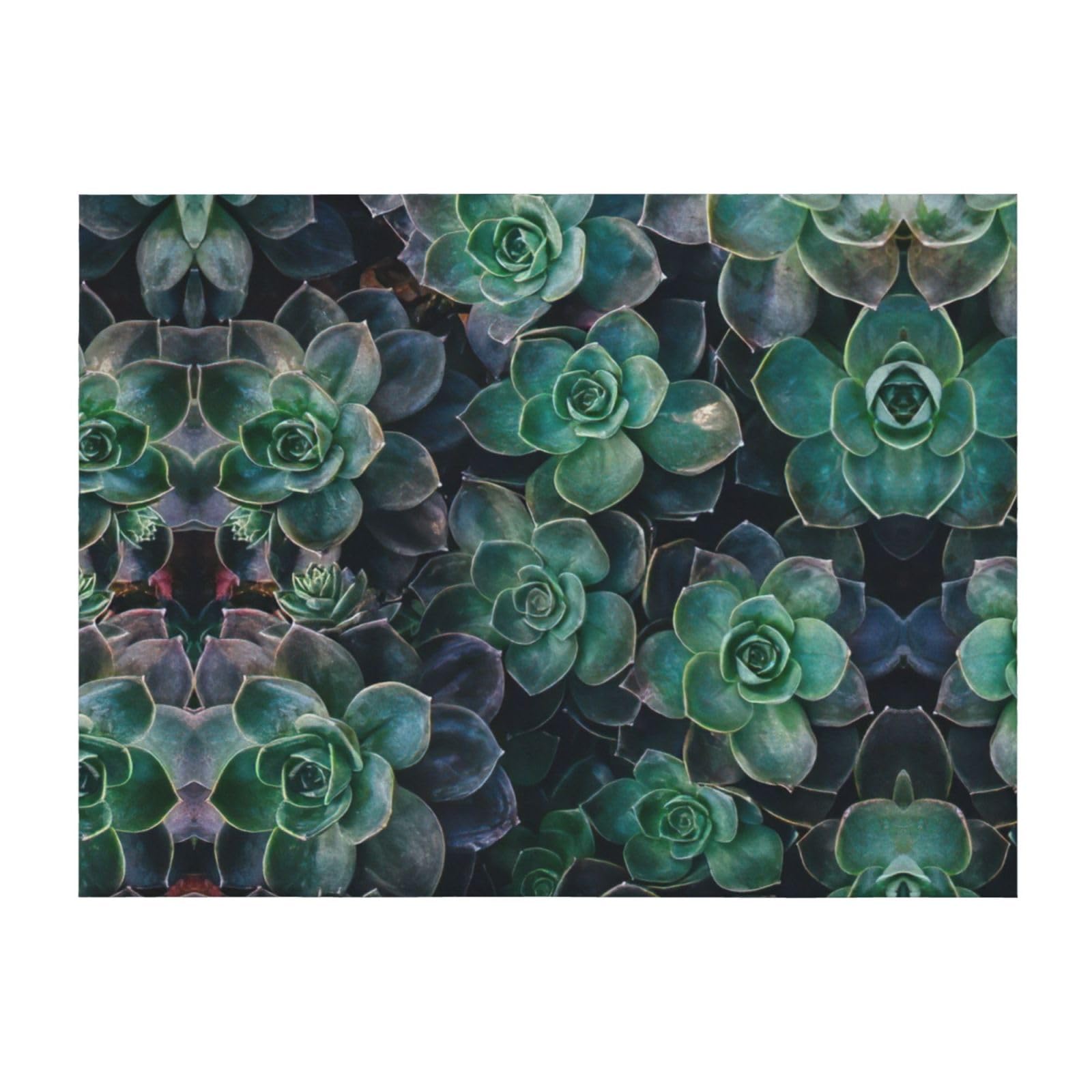 Couverture de lit légère en microfibre imprimé succulent EdWal
