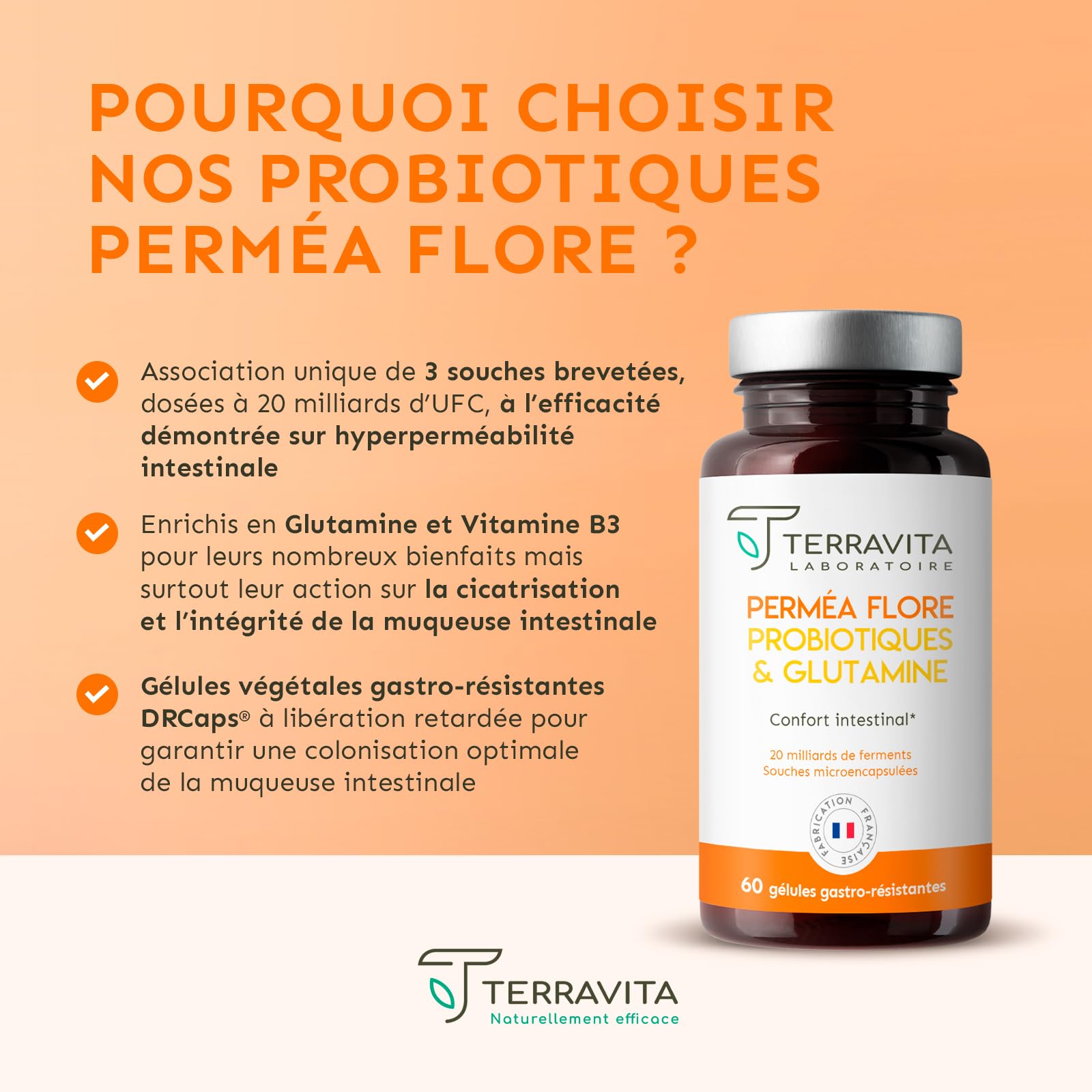 Permea Flore | PROBIOTIQUES + GLUTAMINE | Flore Intestinale et Cicatrisation de la Muqueuse | Idéal Contre la Perméabilité Intestinale | 60 Gélules Gastro-résistantes | Made in France | Terravita