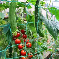 PDGROW Rede de Treliça para Plantas Trepadeiras, 16 x 2 Pé, Verde