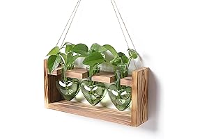 Heart Shape Vase Glass Planter with Wooden Stand