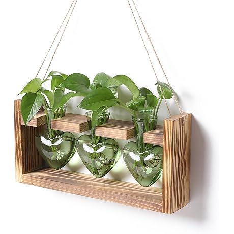 Heart Shape Vase Glass Planter with Wooden Stand